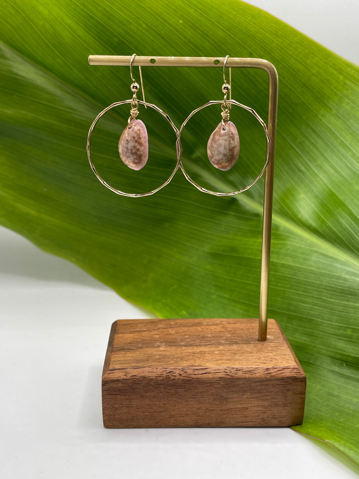Cowrie Shell Hoops Small