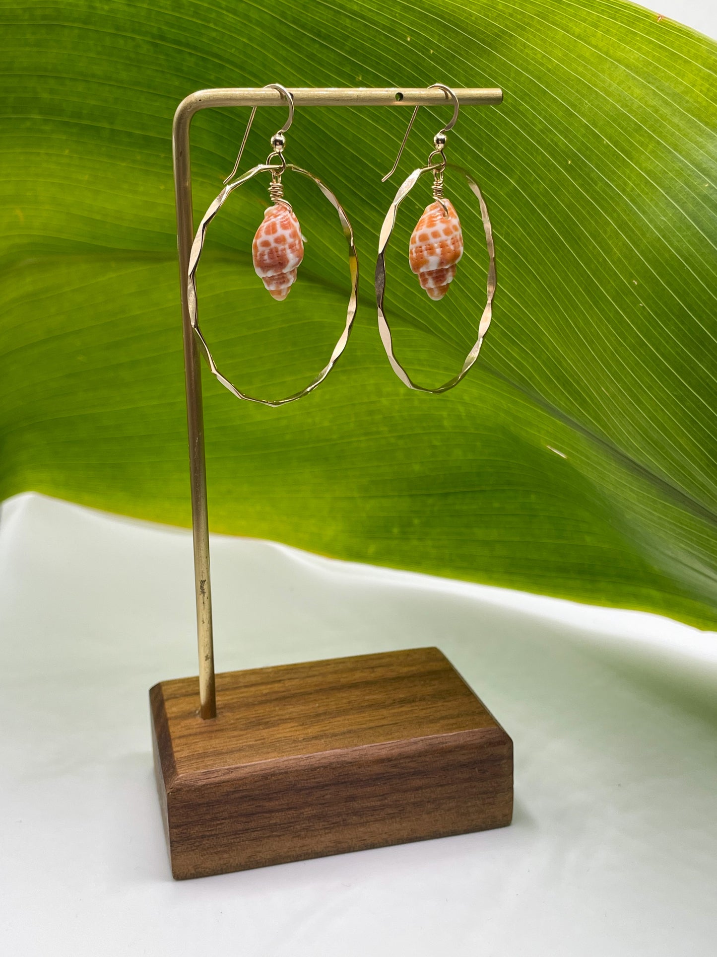 Miter Shell Hoops