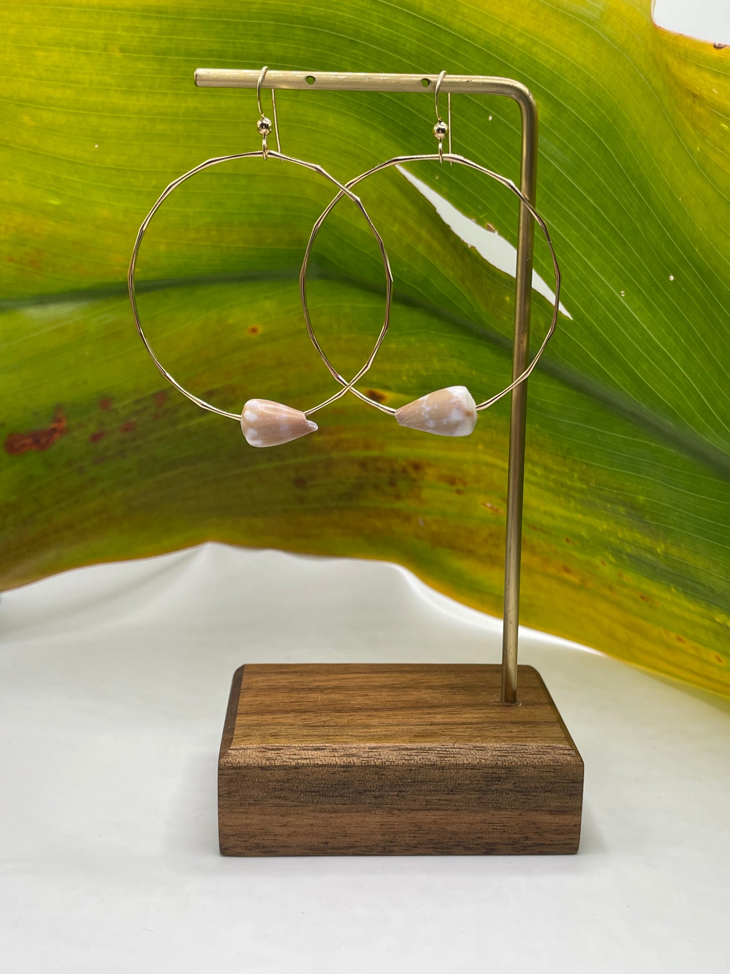 Cone Shell Hoops Large
