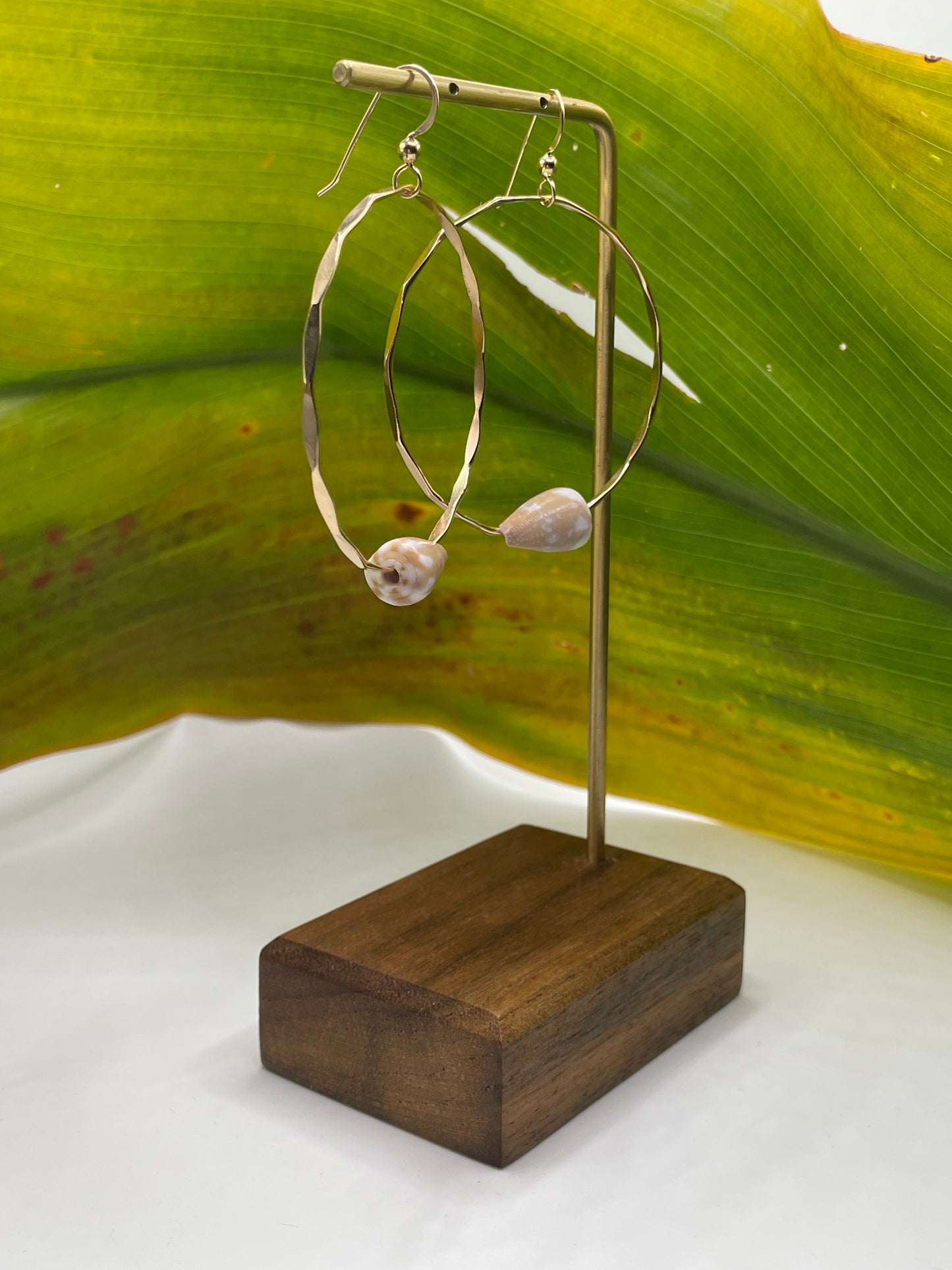 Cone Shell Hoops Large