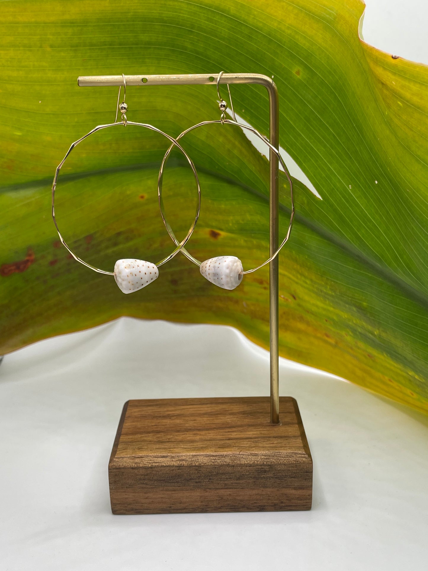 Cone Shell Hoops Large