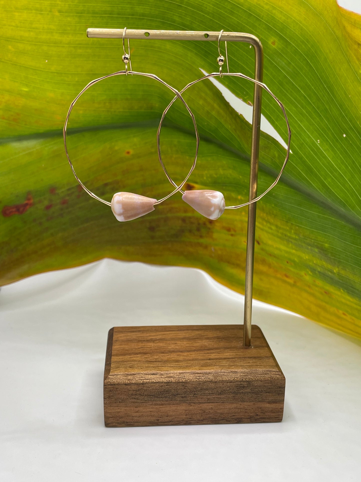 Cone Shell Hoops Large