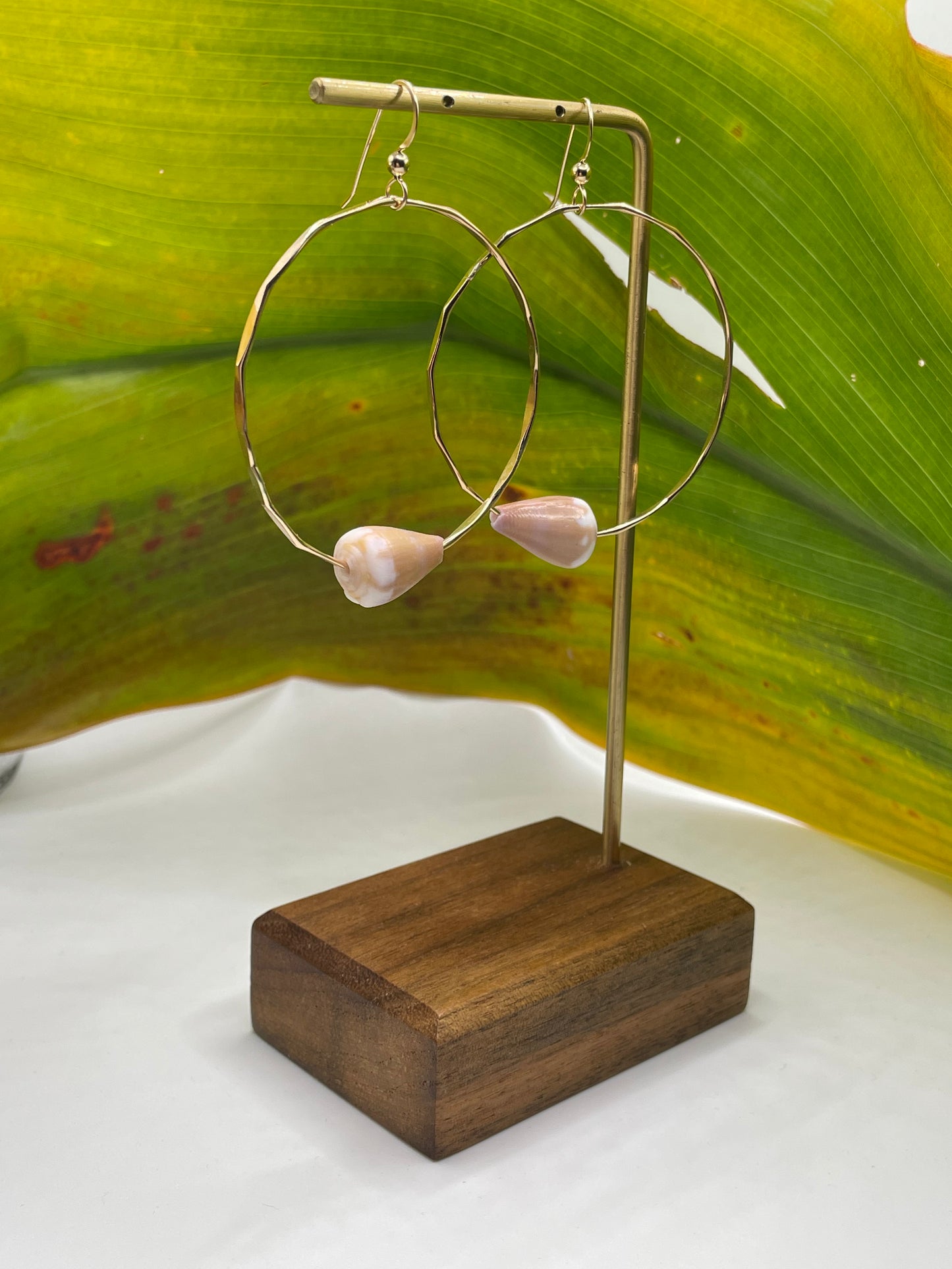 Cone Shell Hoops Large