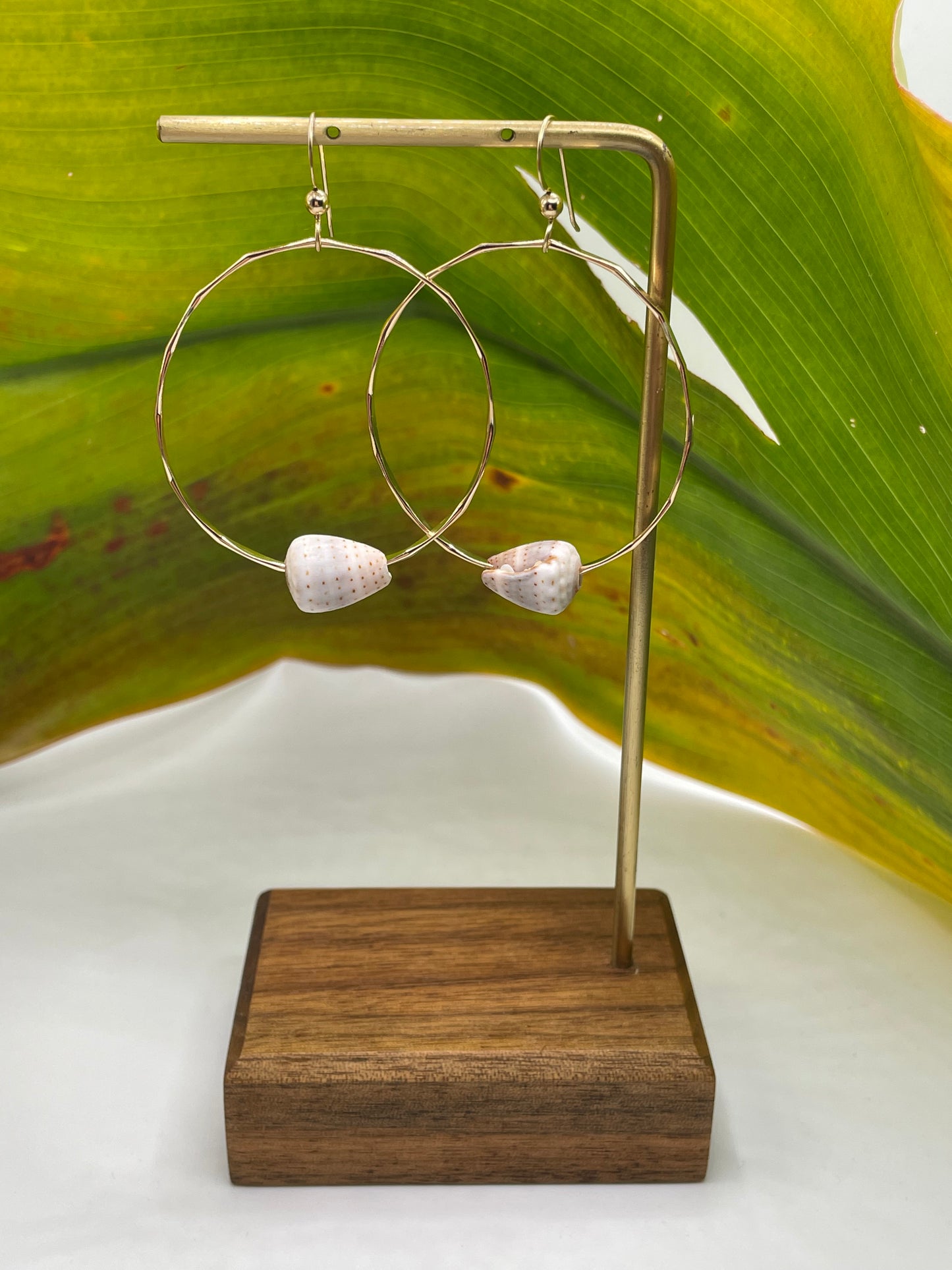 Cone Shell Hoops Medium