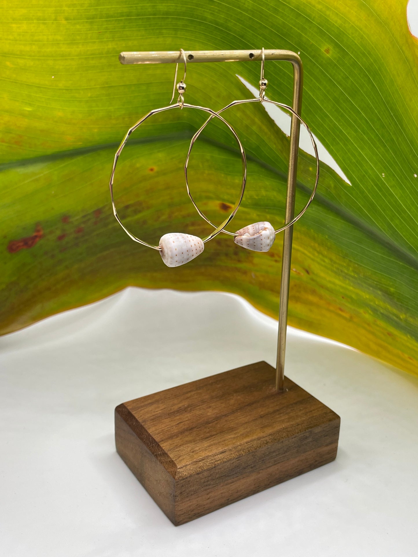 Cone Shell Hoops Medium