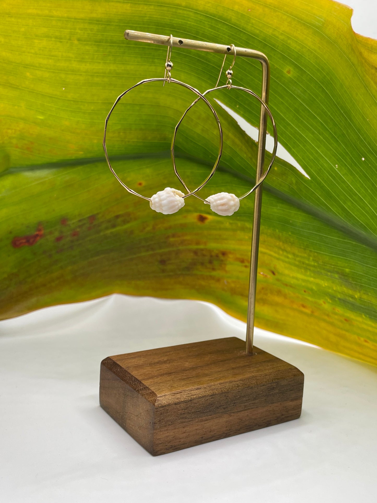 Cone Shell Hoops Medium