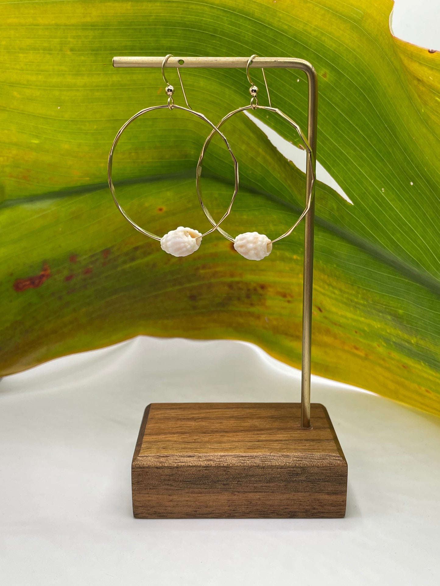 Cone Shell Hoops Medium