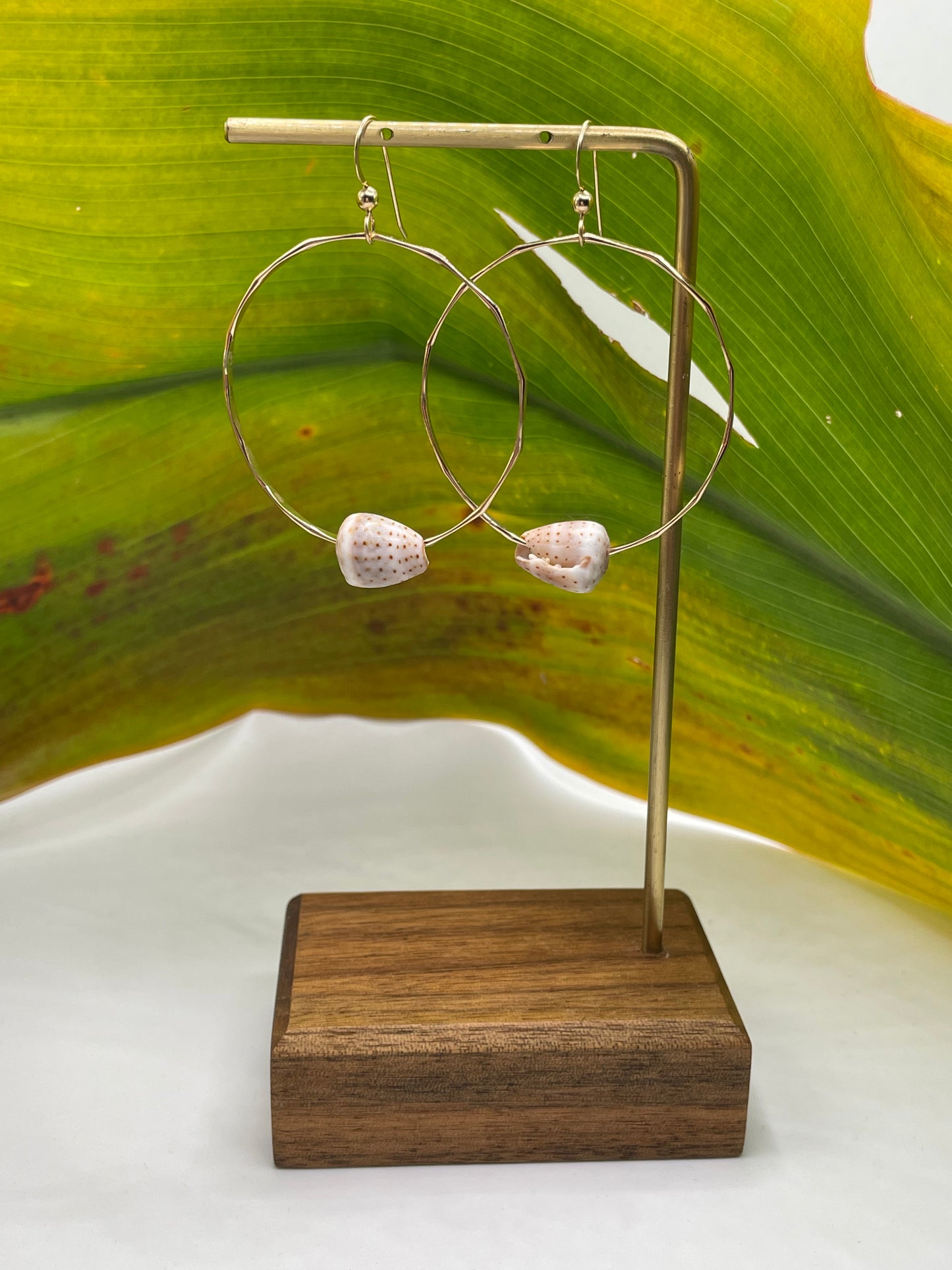 Cone Shell Hoops Medium