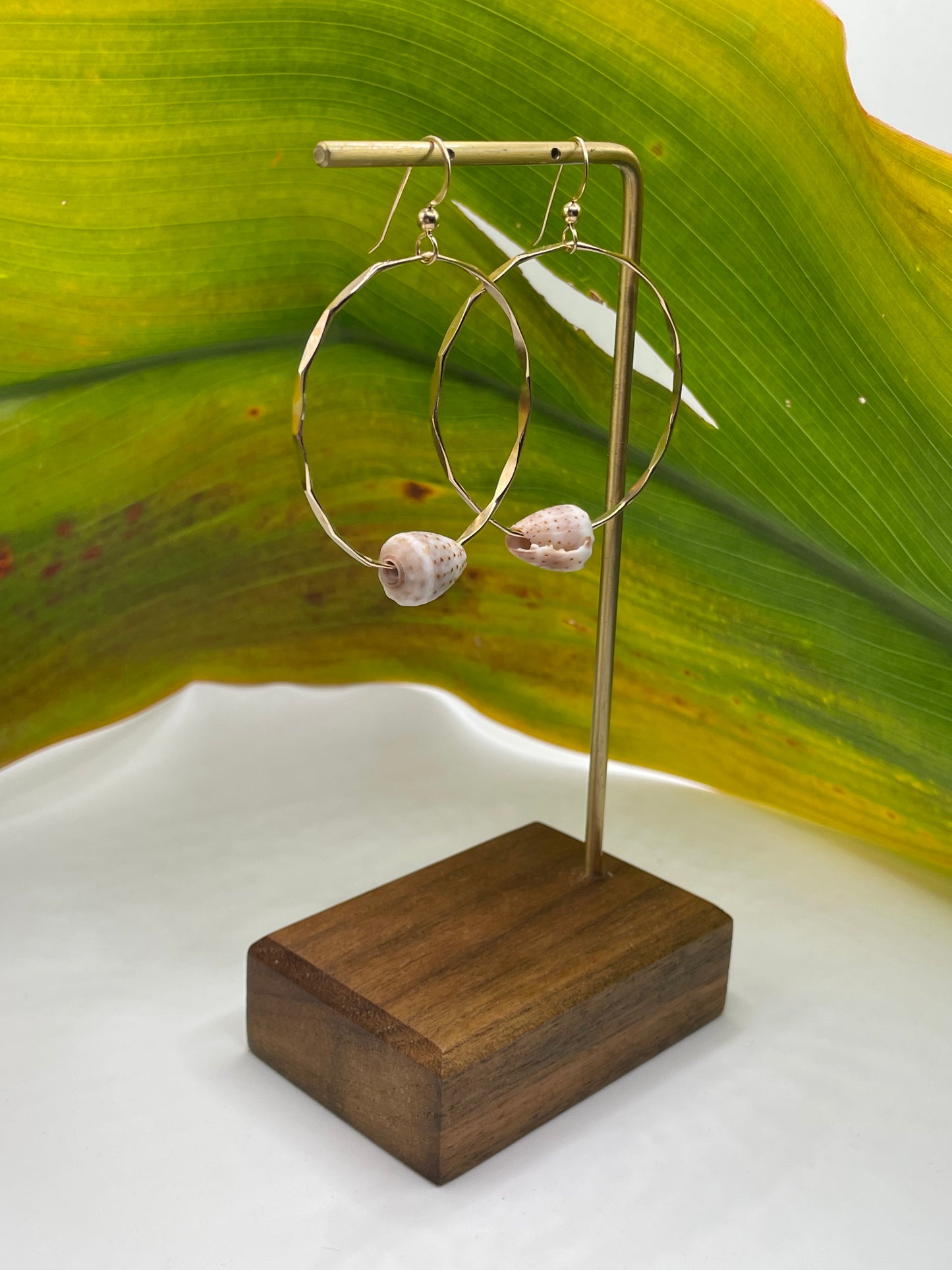 Cone Shell Hoops Medium
