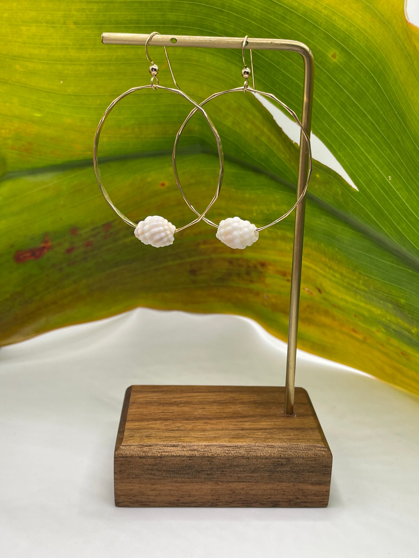 Cone Shell Hoops Medium