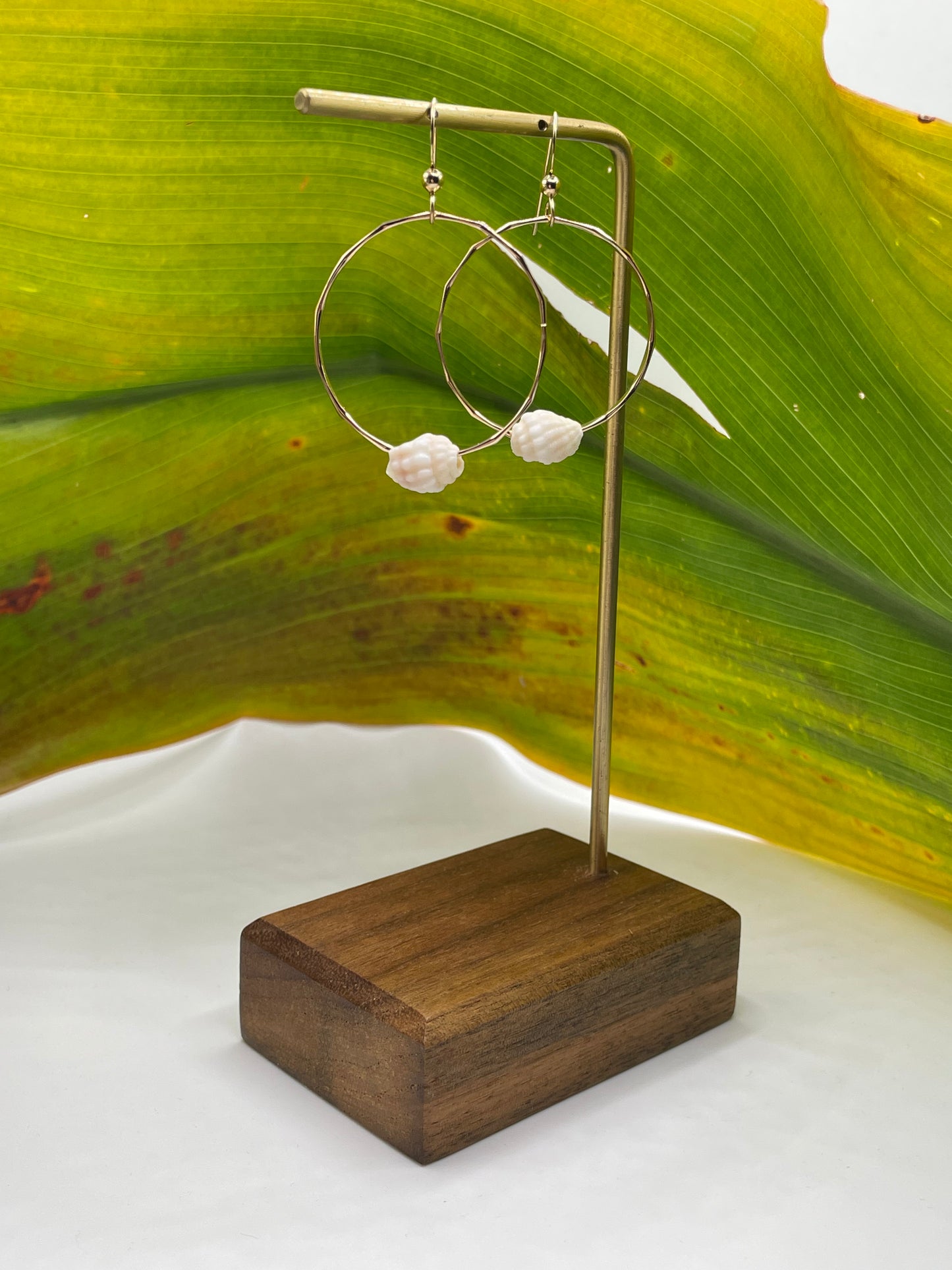 Shell Hoops small