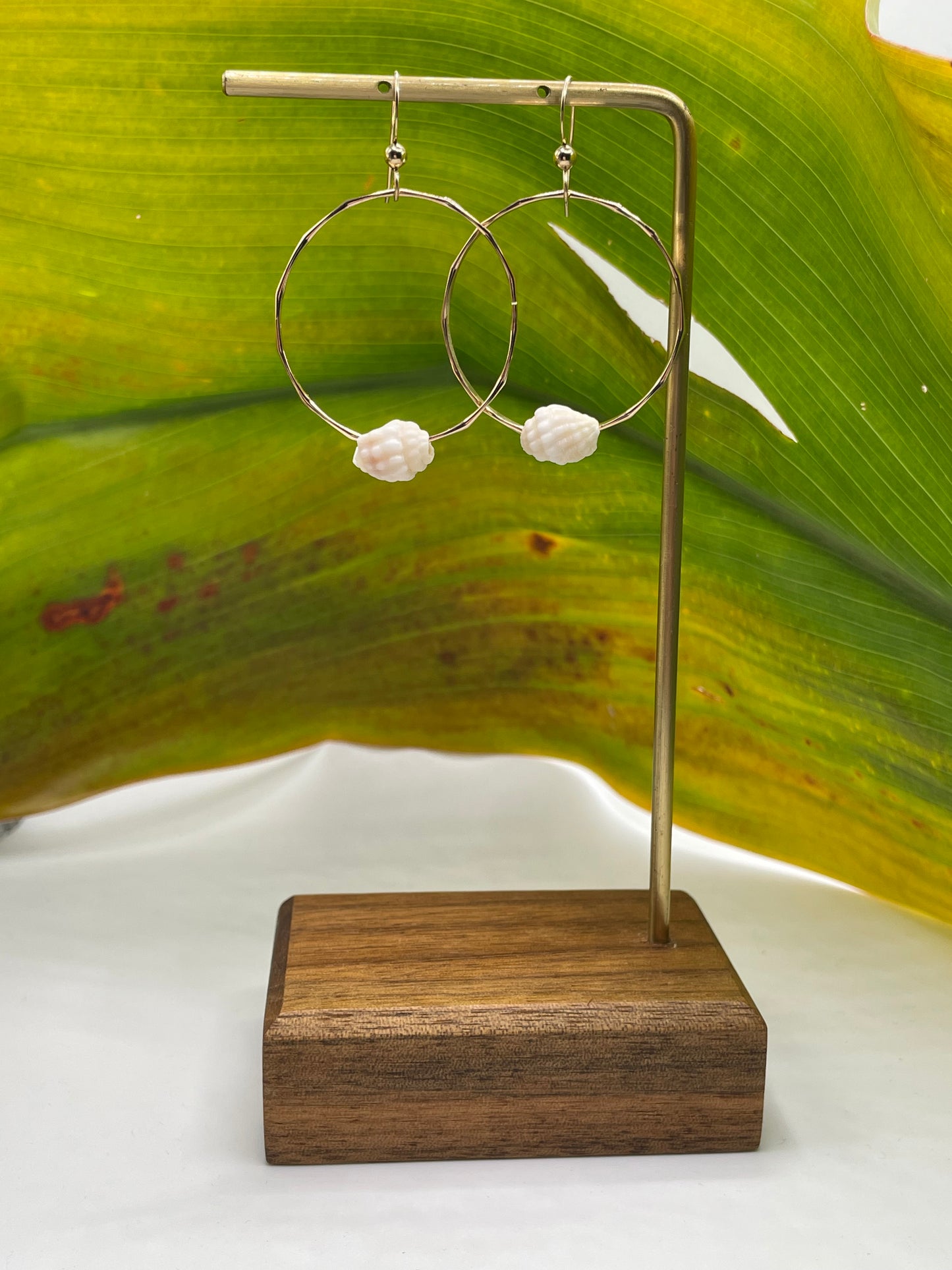 Shell Hoops small