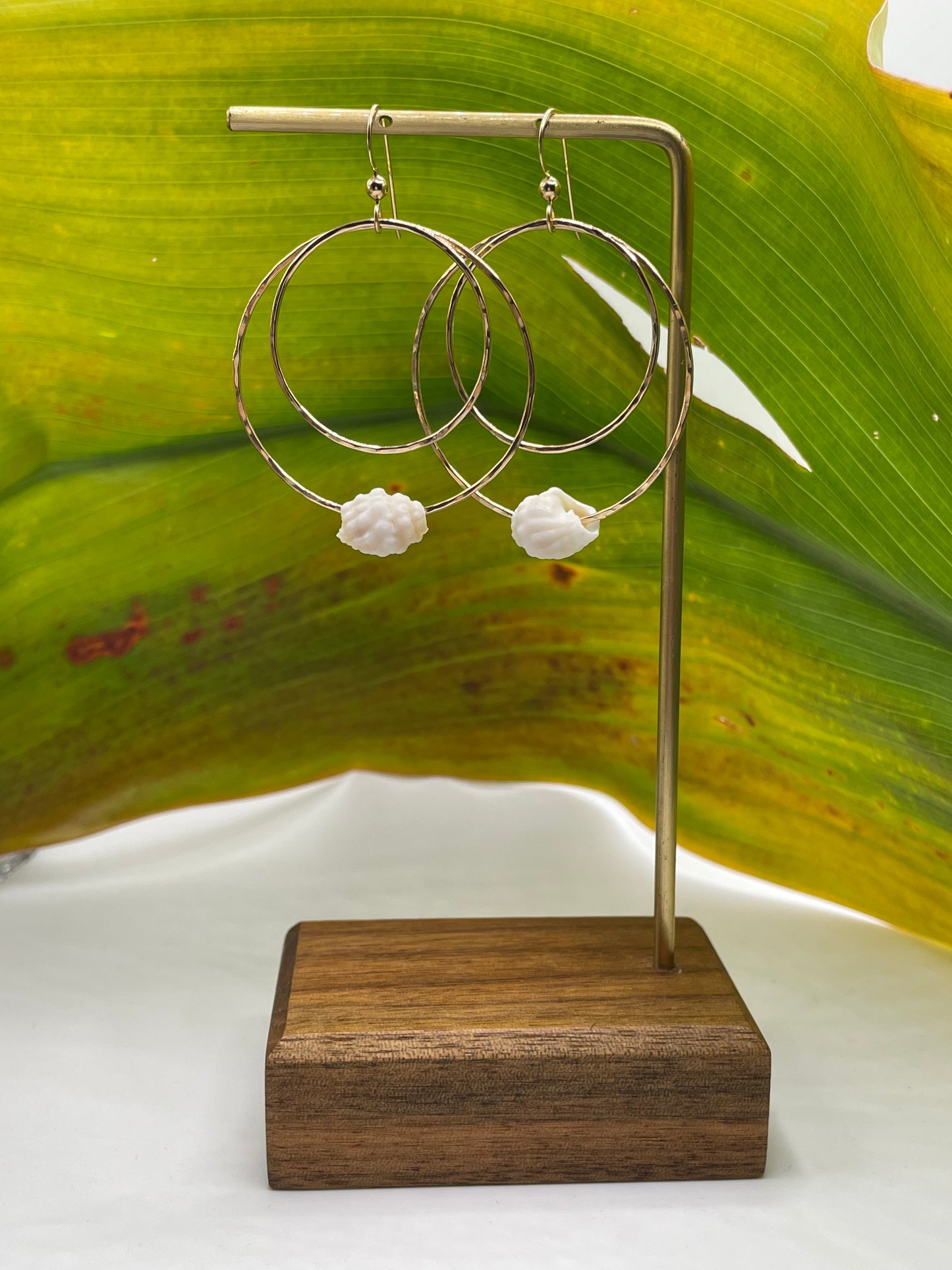 Shell Double Hoops