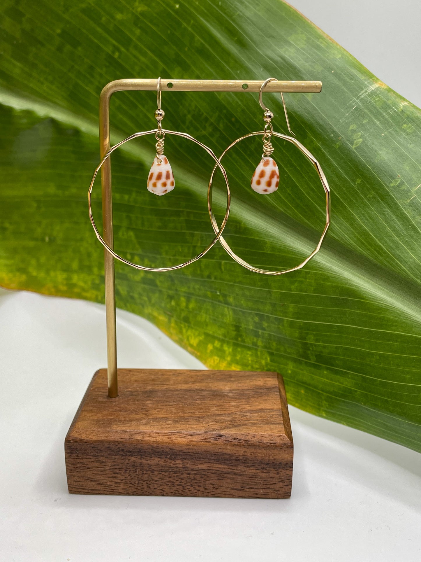 Hebrew Shell in Hoops