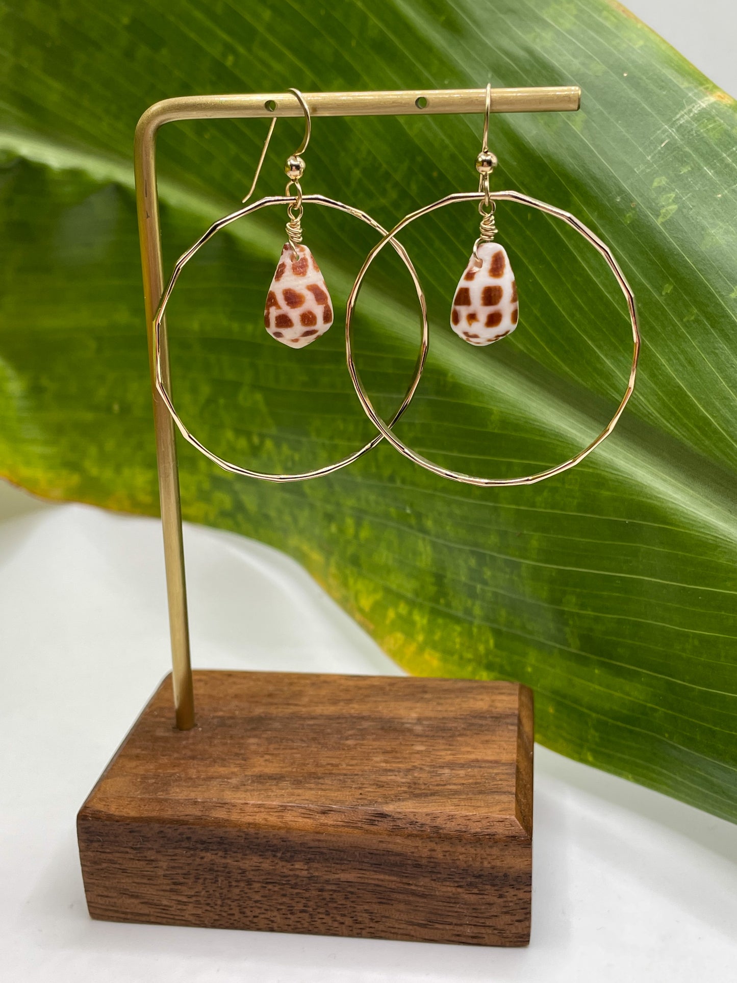Hebrew Shell in Hoops