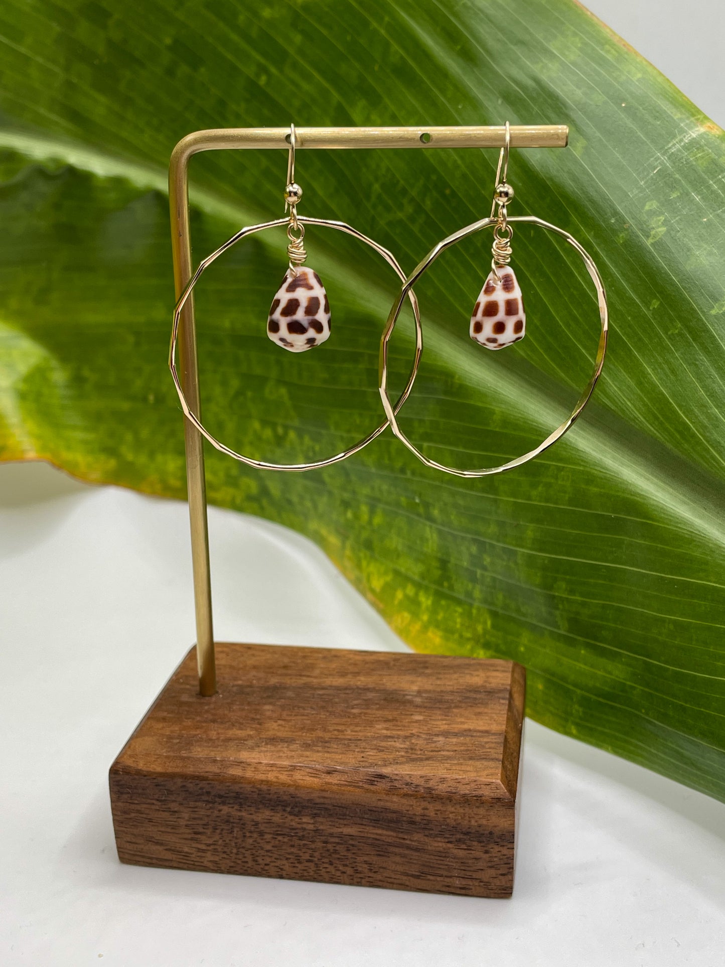 Hebrew Shell in Hoops