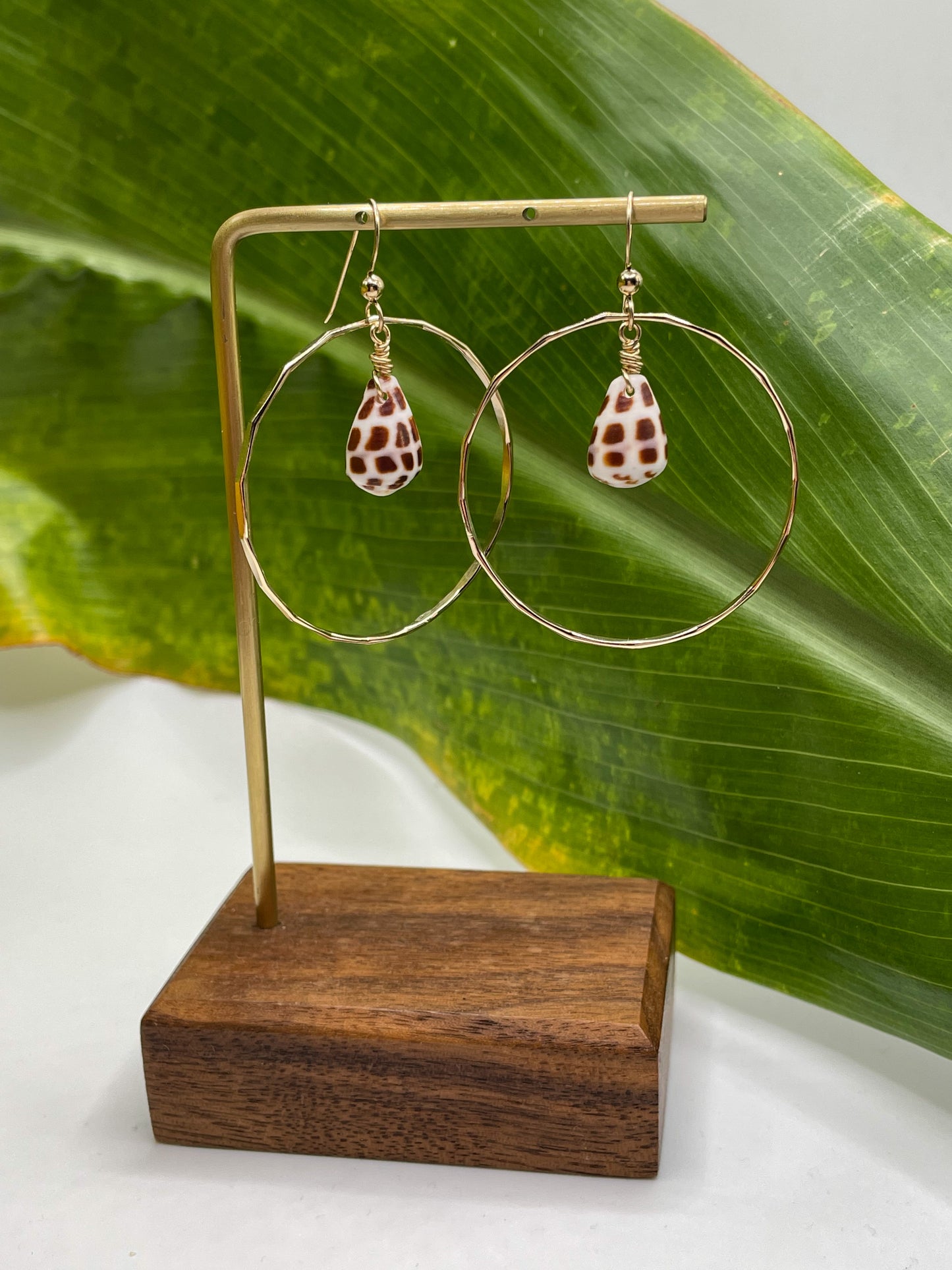 Hebrew Shell in Hoops