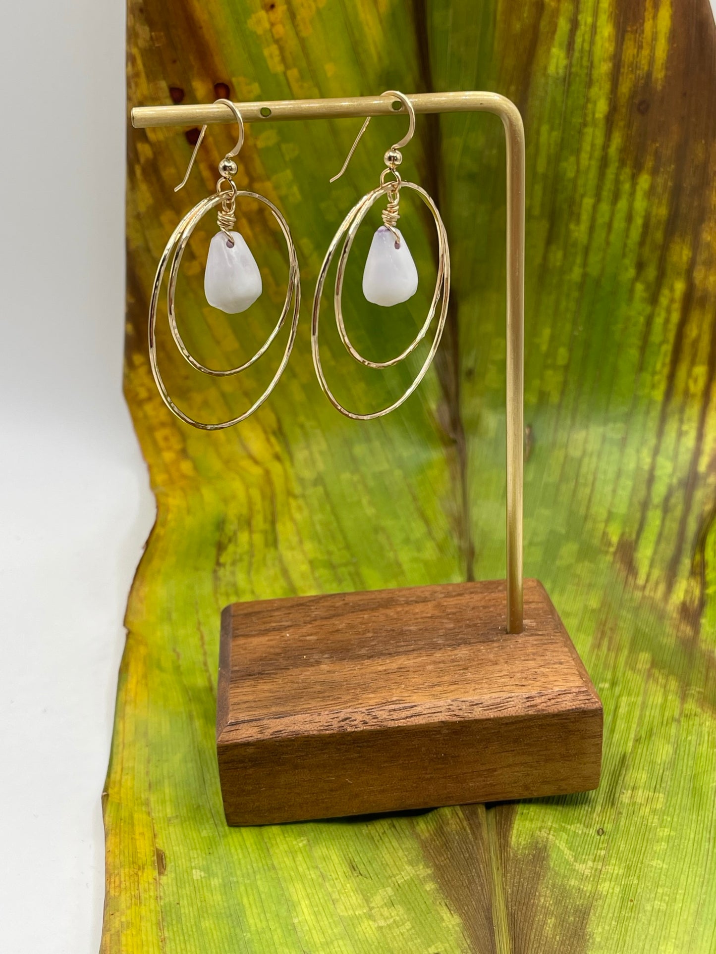 Shell in Double Hoops