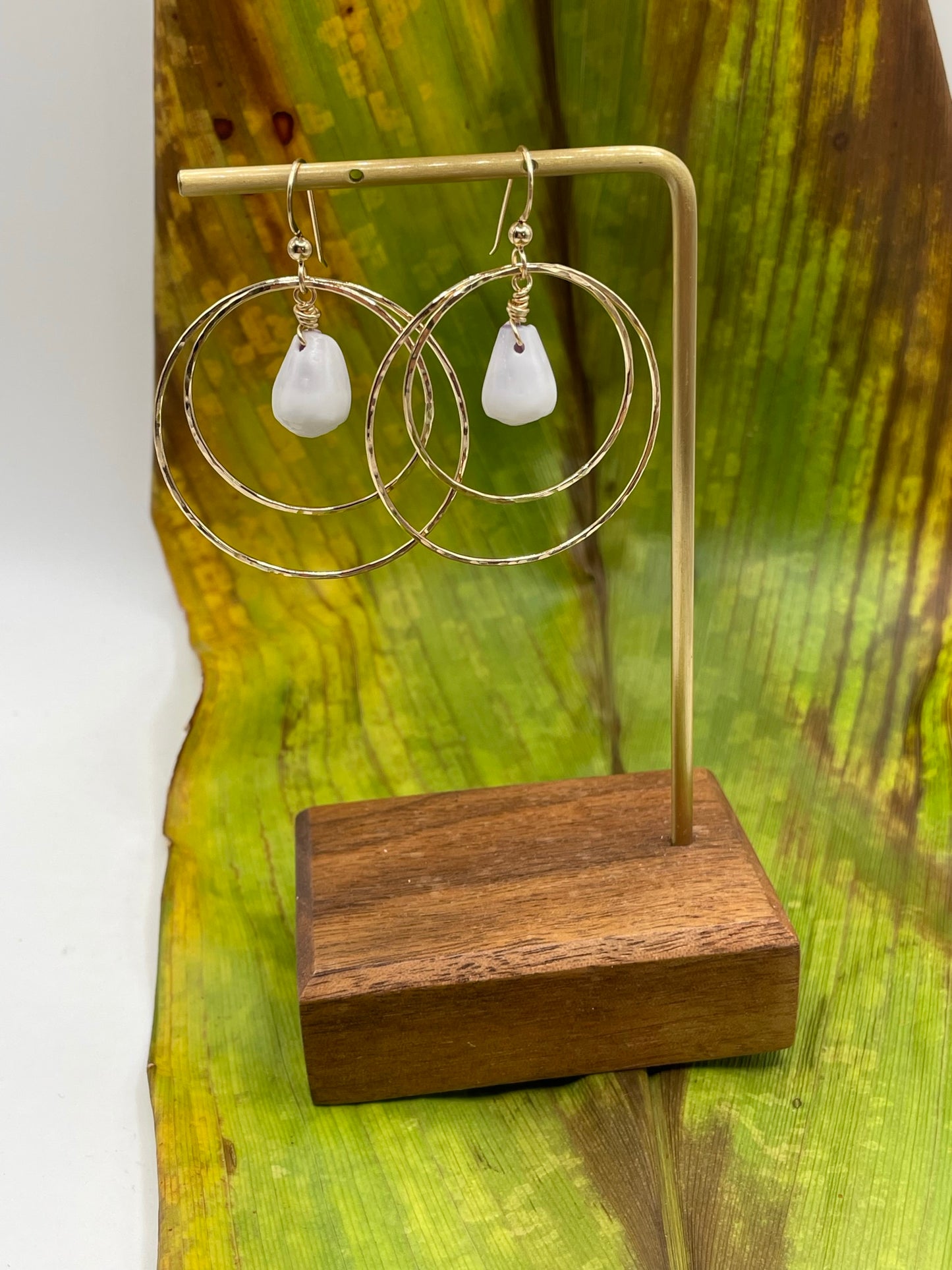 Shell in Double Hoops