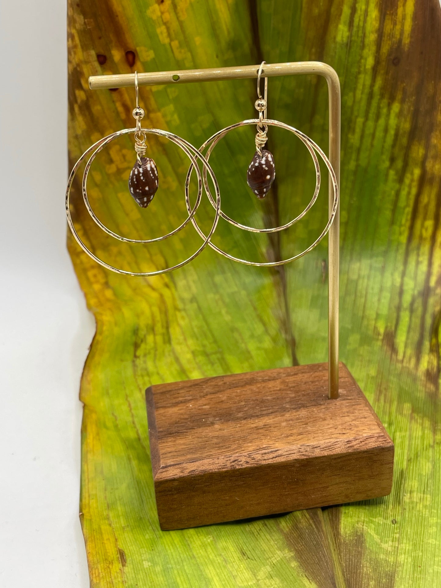 Shell in Double Hoops
