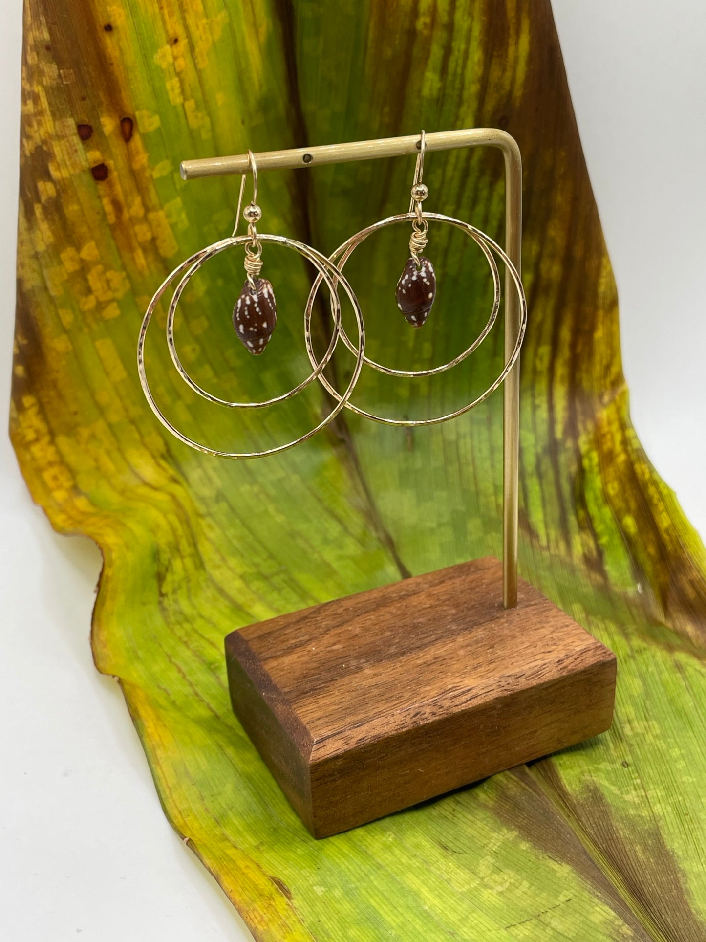 Shell in Double Hoops