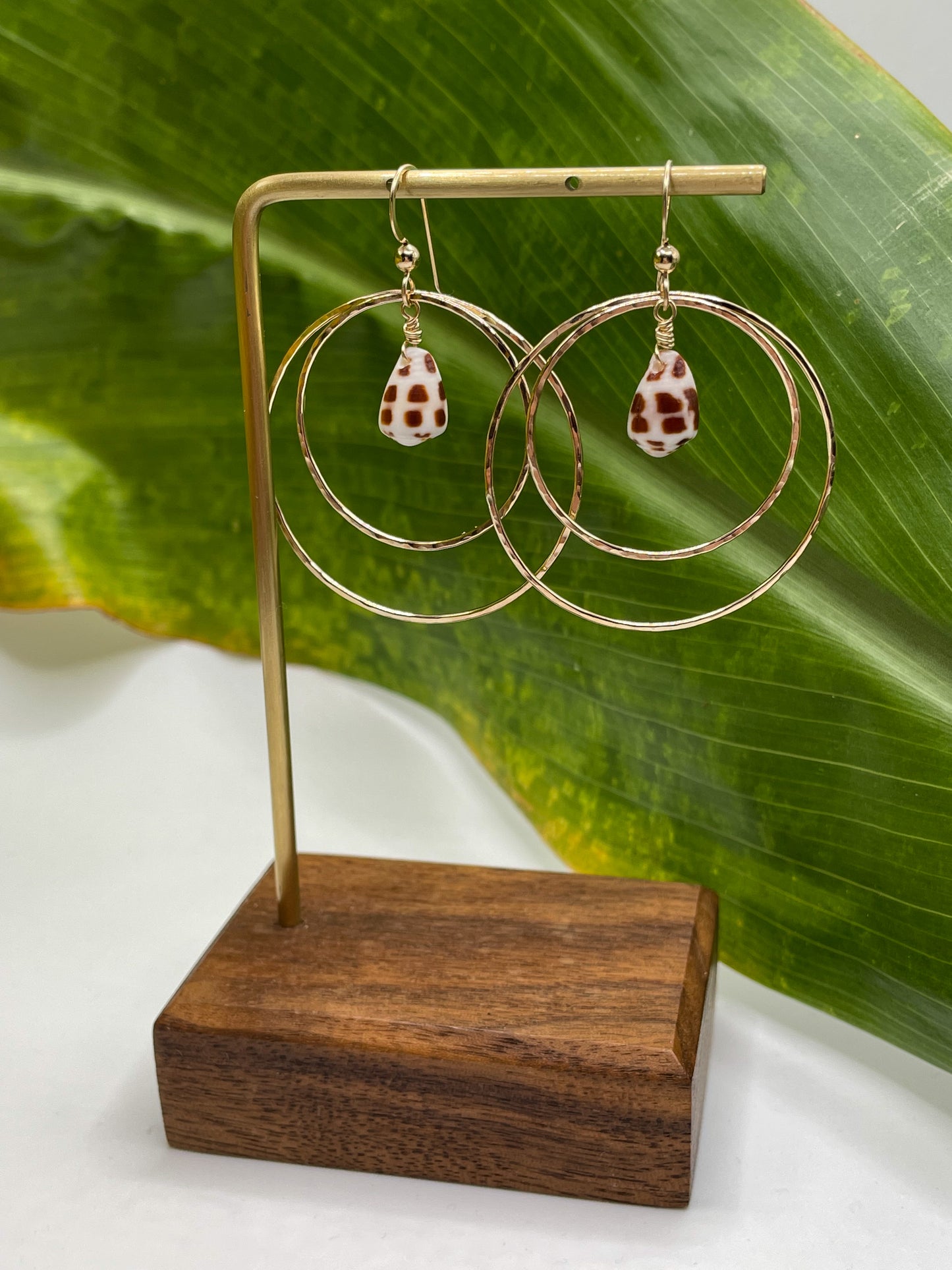 Hebrew Shell Double Hoops