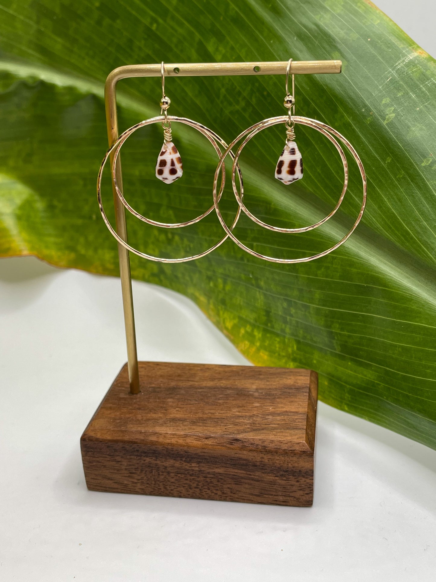 Hebrew Shell Double Hoops