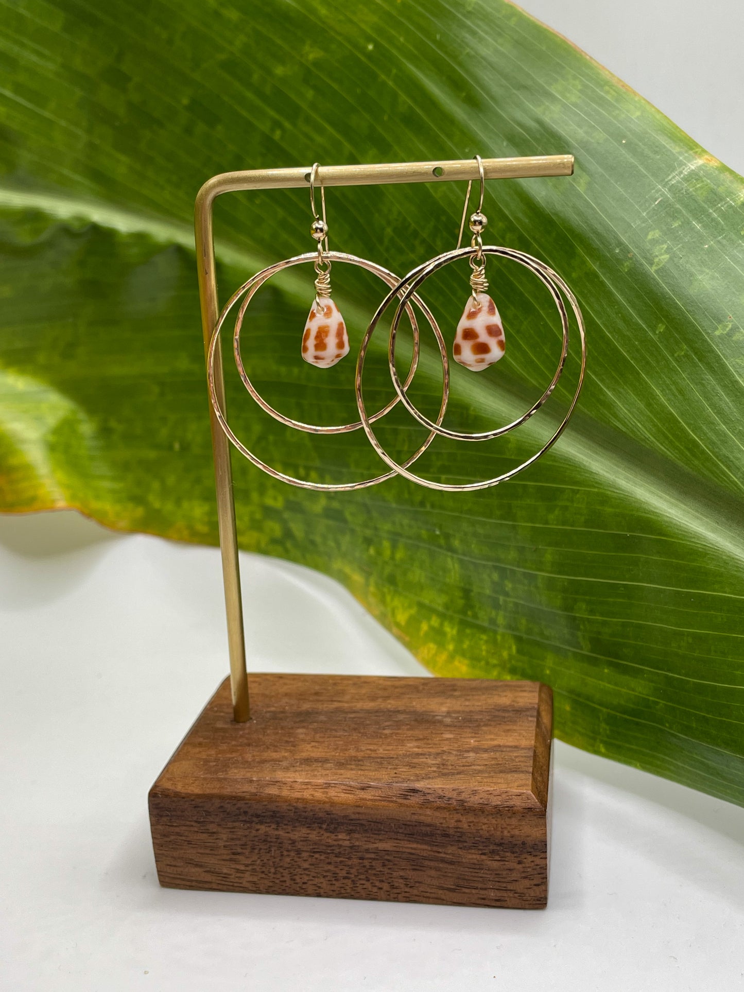 Hebrew Shell Double Hoops