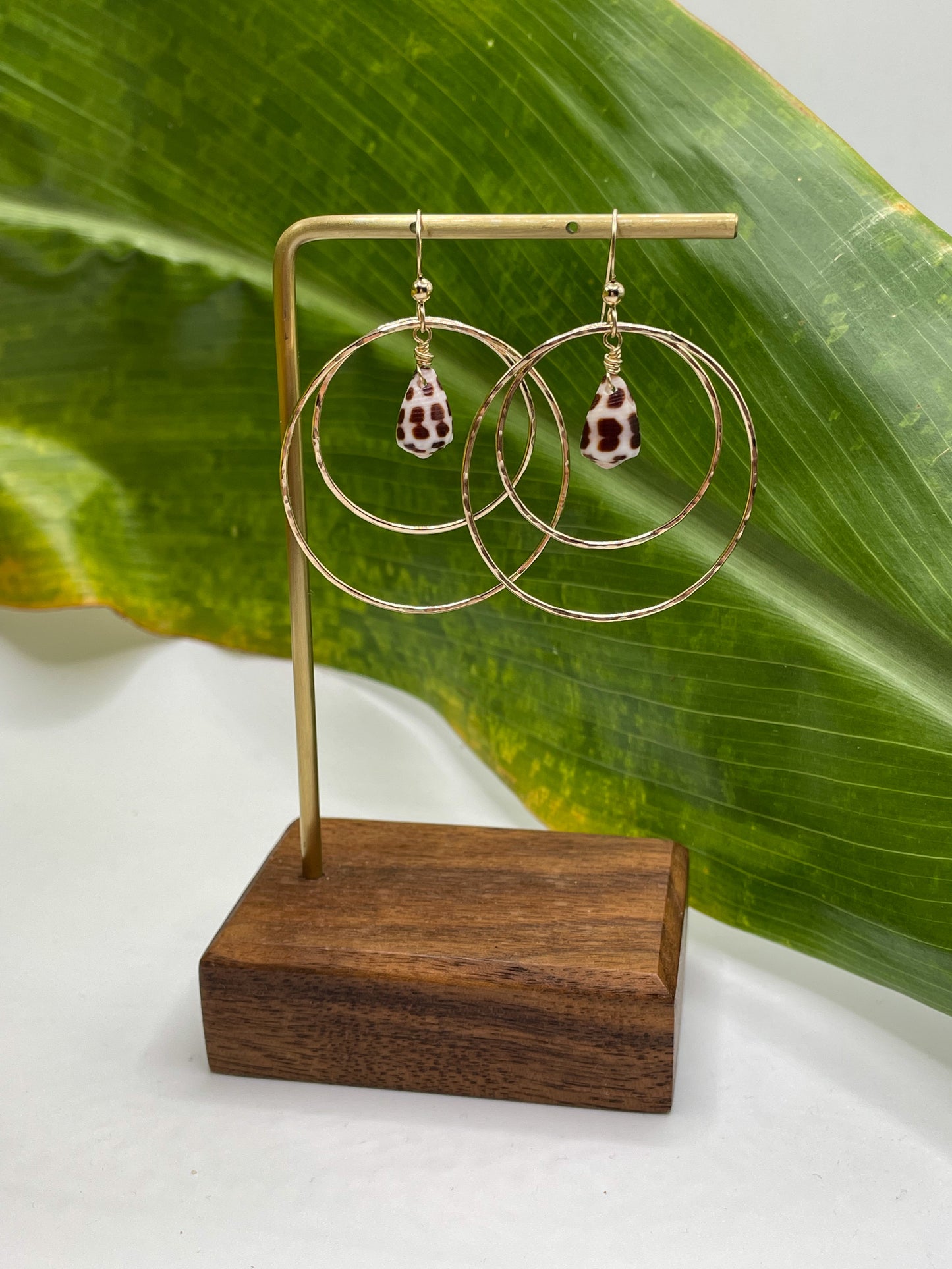 Hebrew Shell Double Hoops