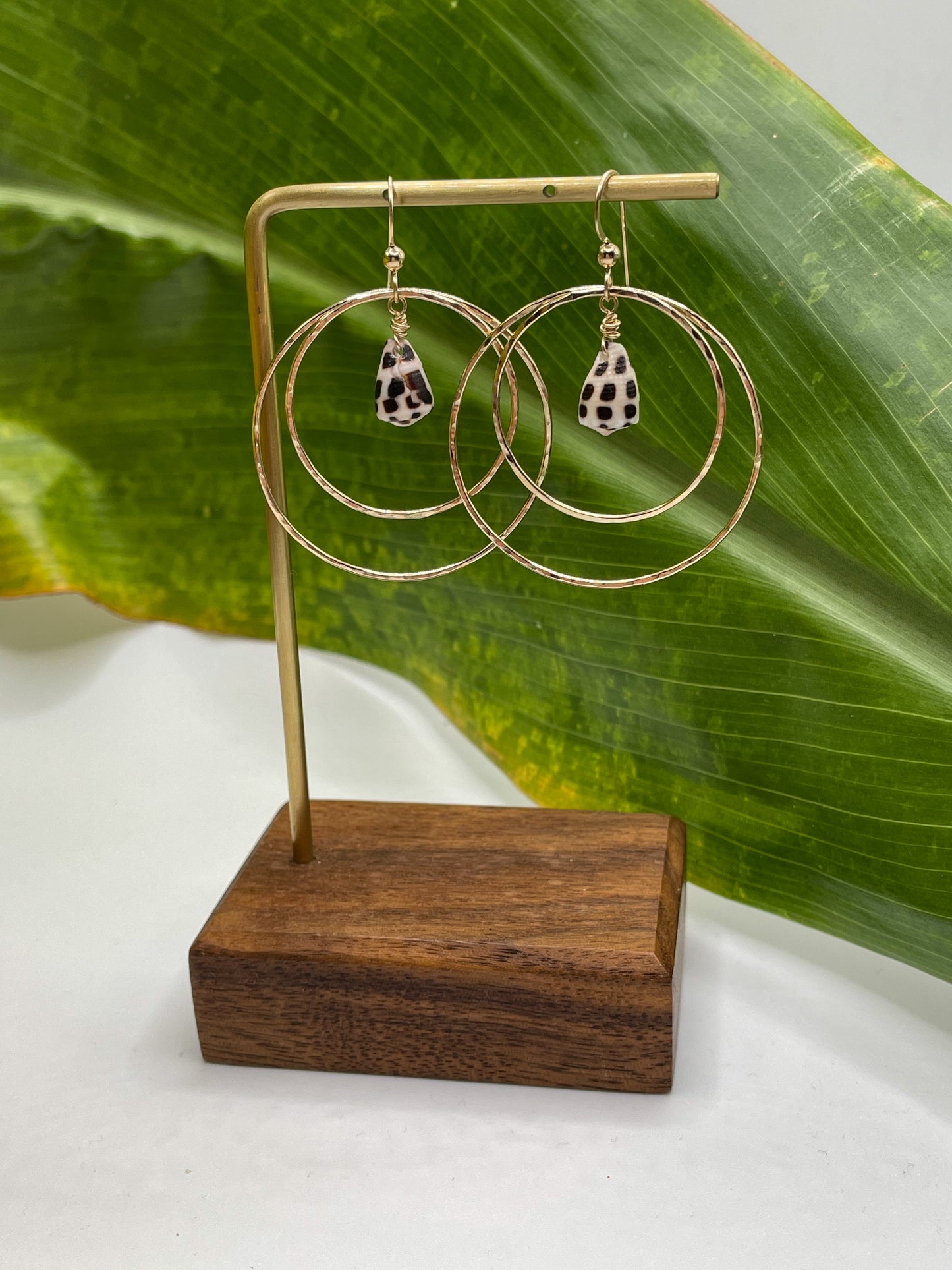 Hebrew Shell Double Hoops