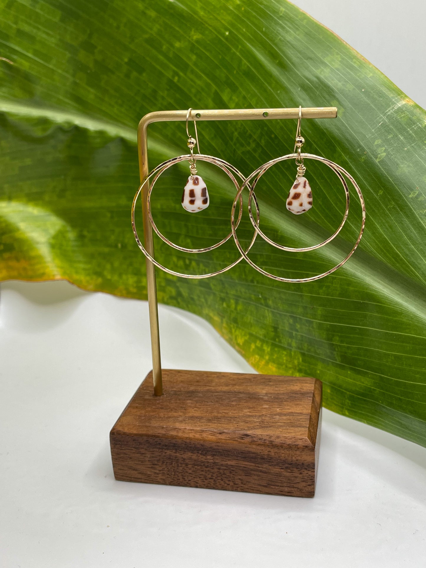 Hebrew Shell Double Hoops