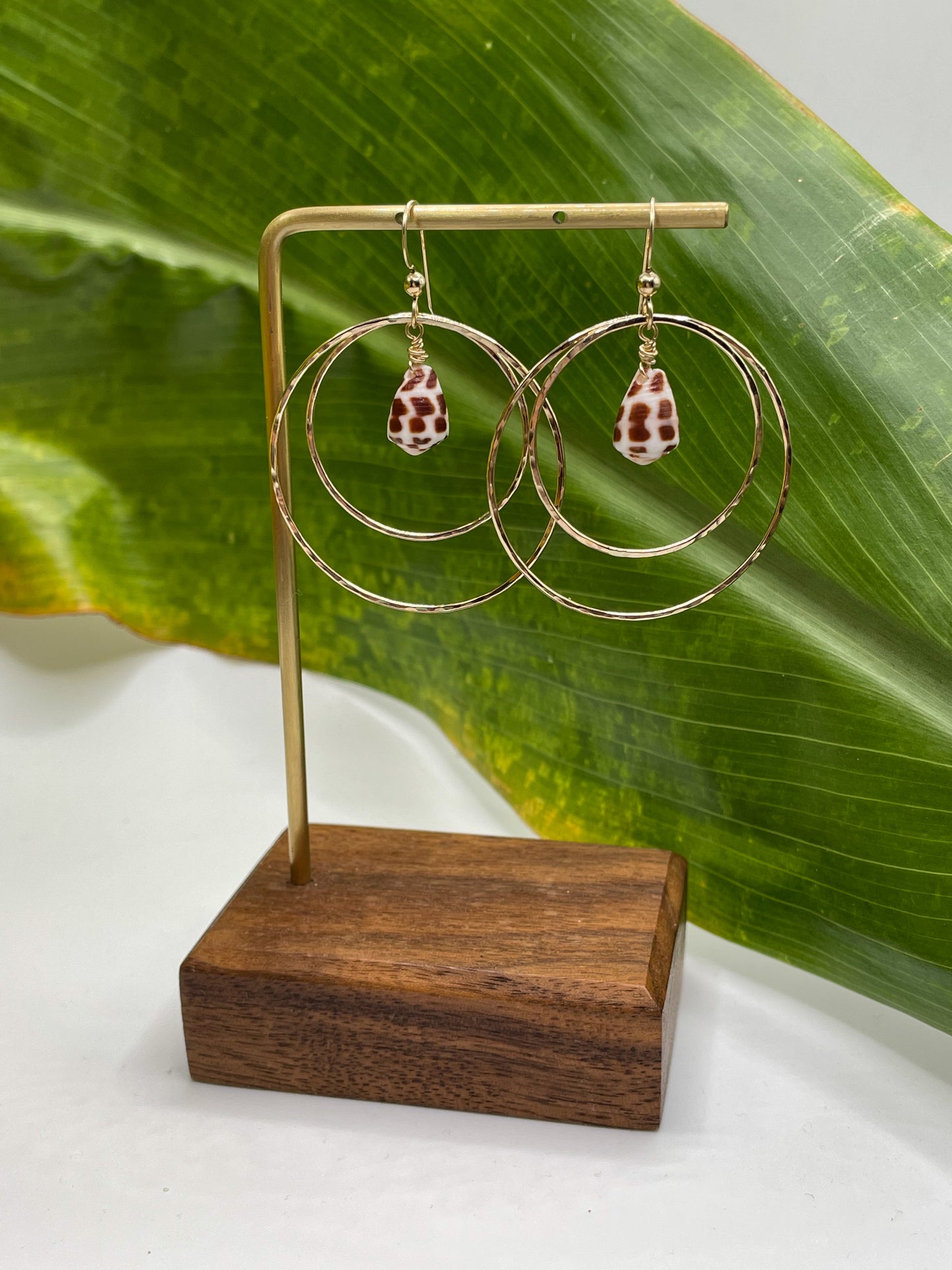 Hebrew Shell Double Hoops