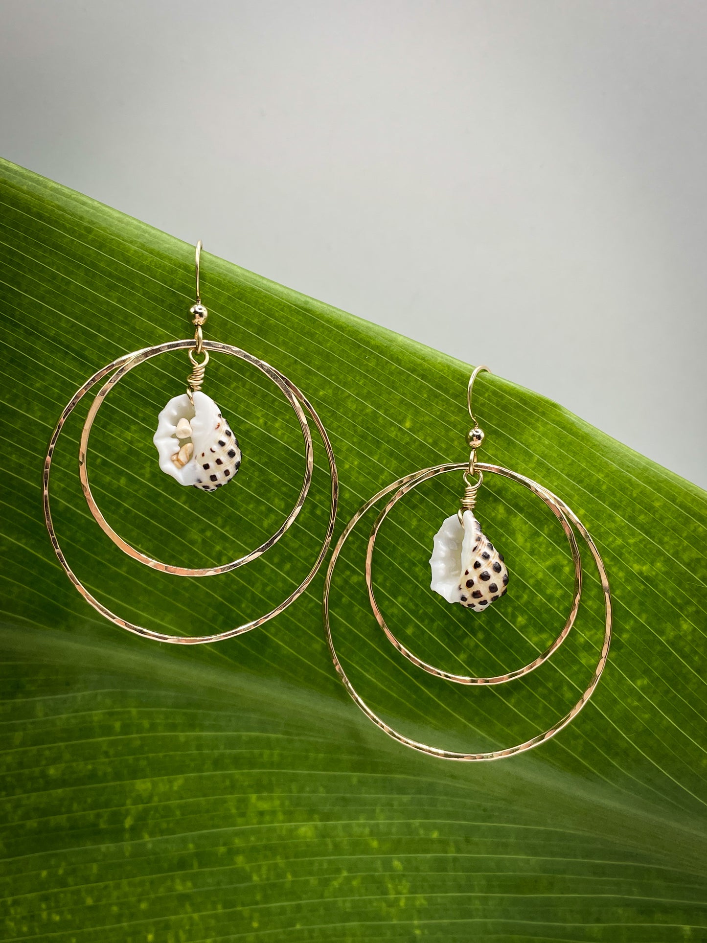 Drupe Shell Hoops