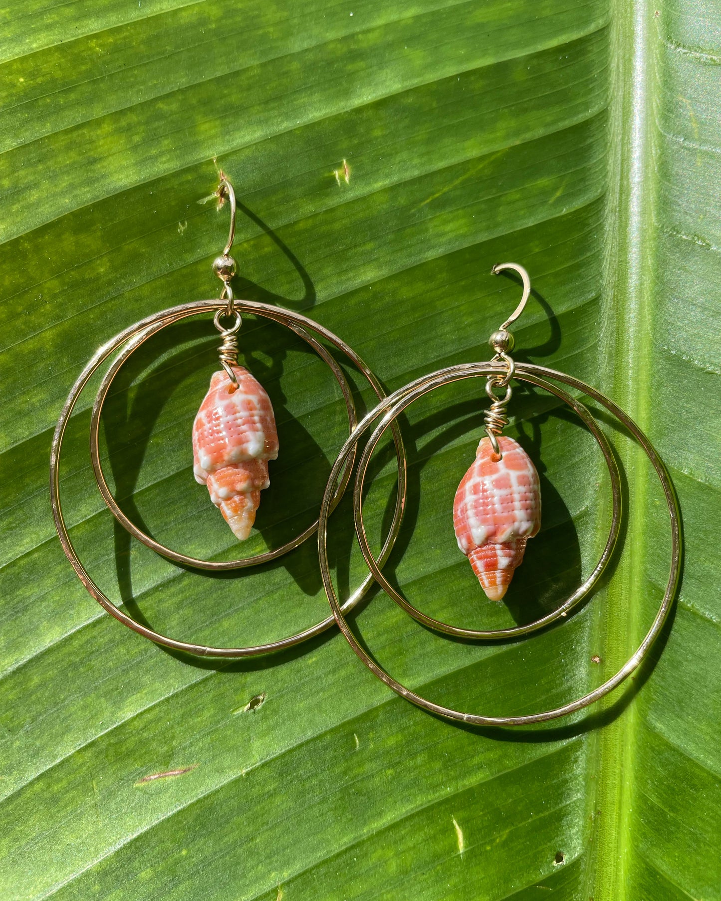 Miter Shell Double Hoops