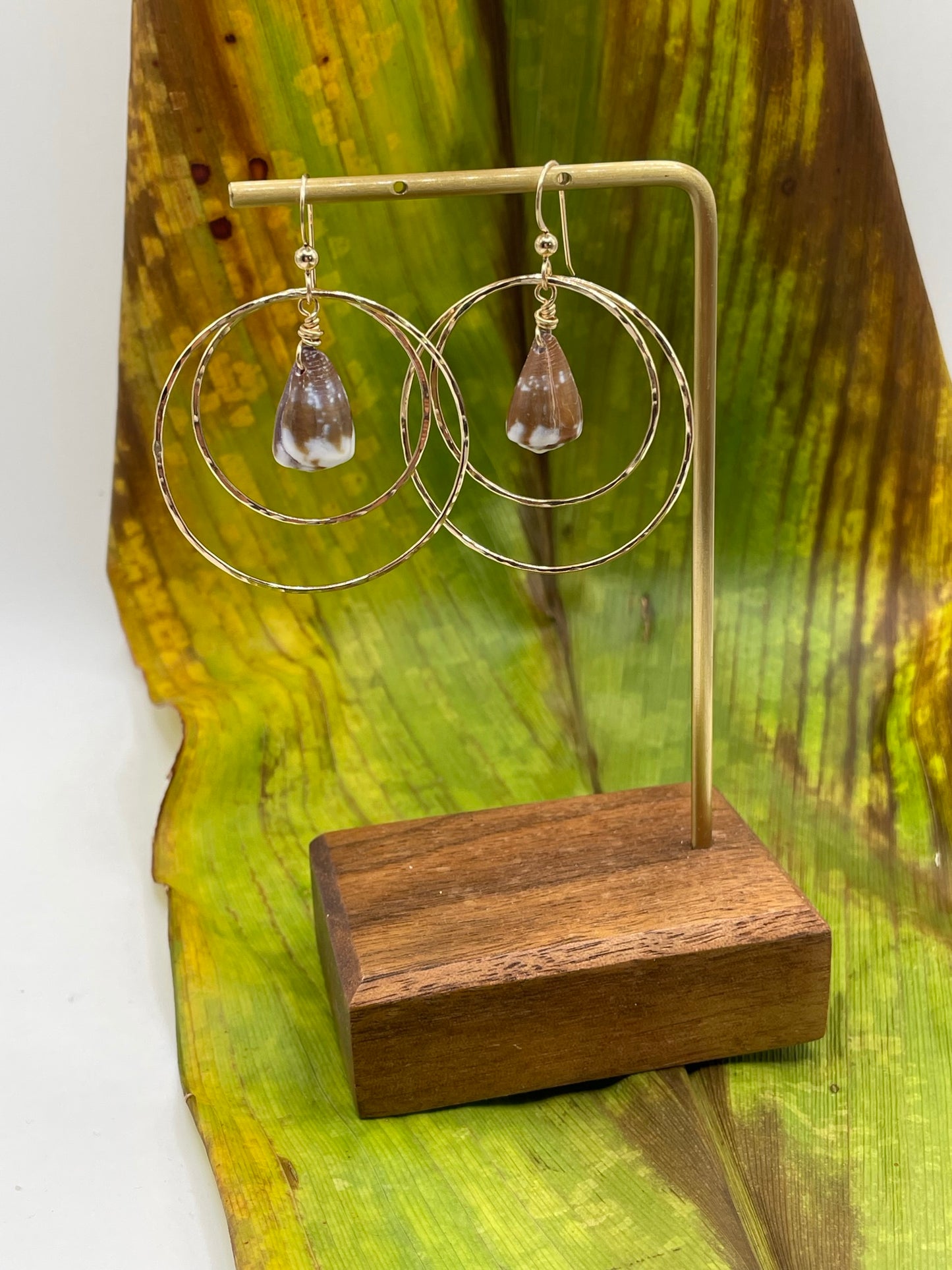 Shell in Double Hoops