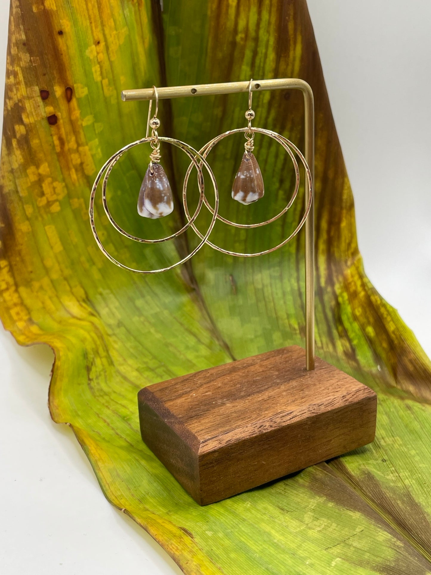 Shell in Double Hoops
