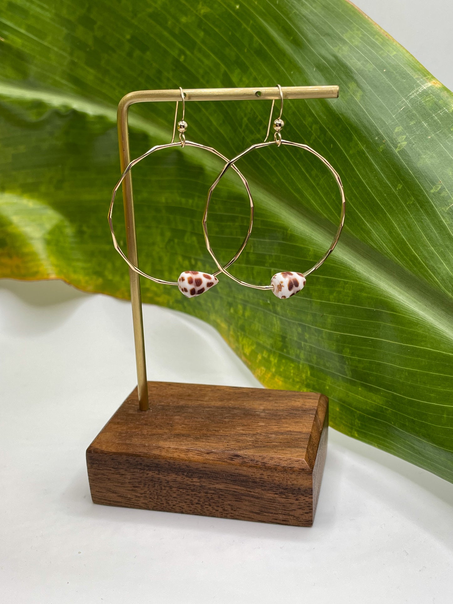 Hebrew Shell on Hoops