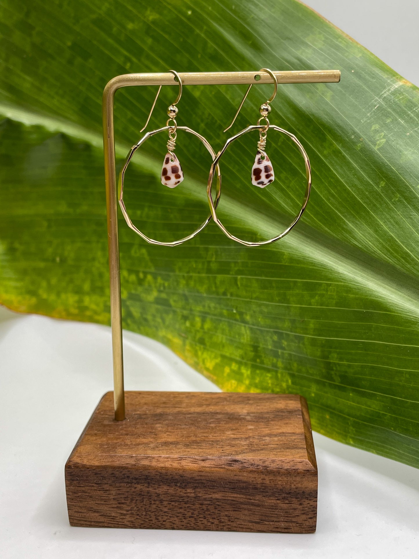 Small Hebrew Shell in Hoops