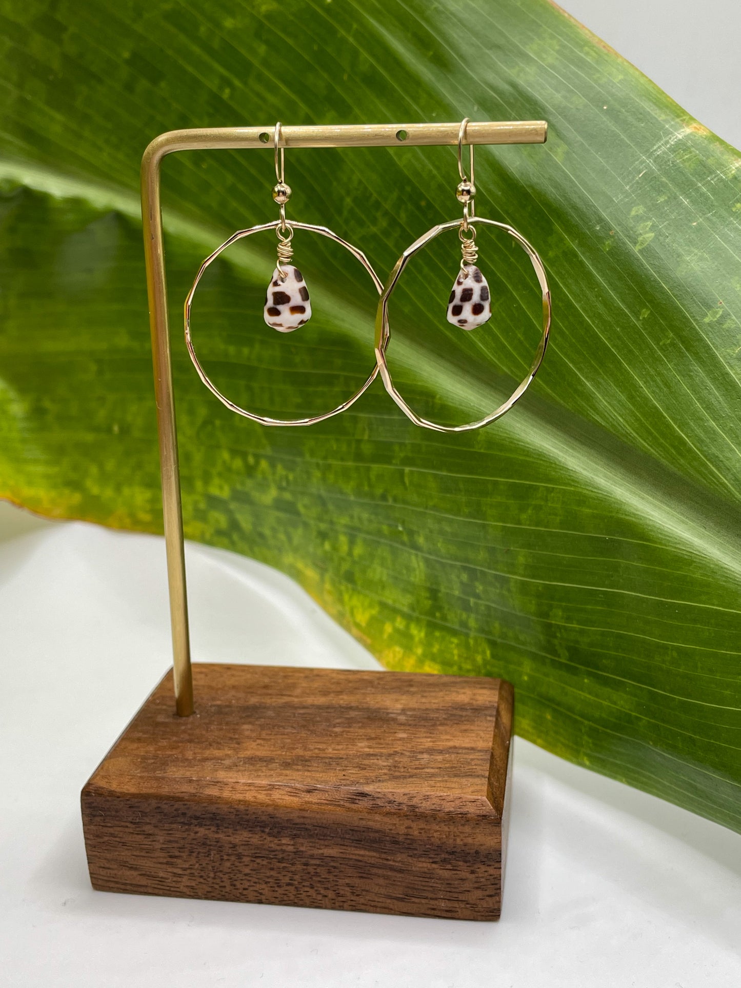 Small Hebrew Shell in Hoops