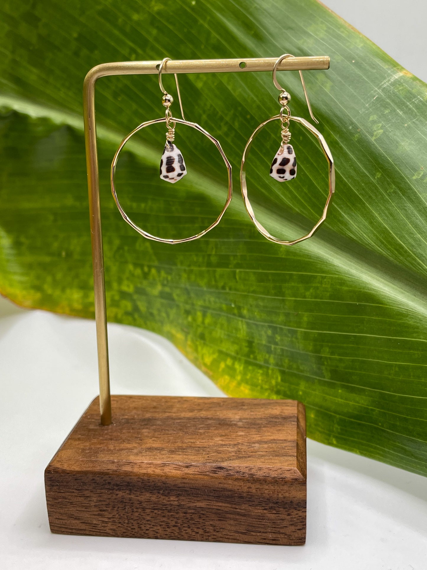 Small Hebrew Shell in Hoops