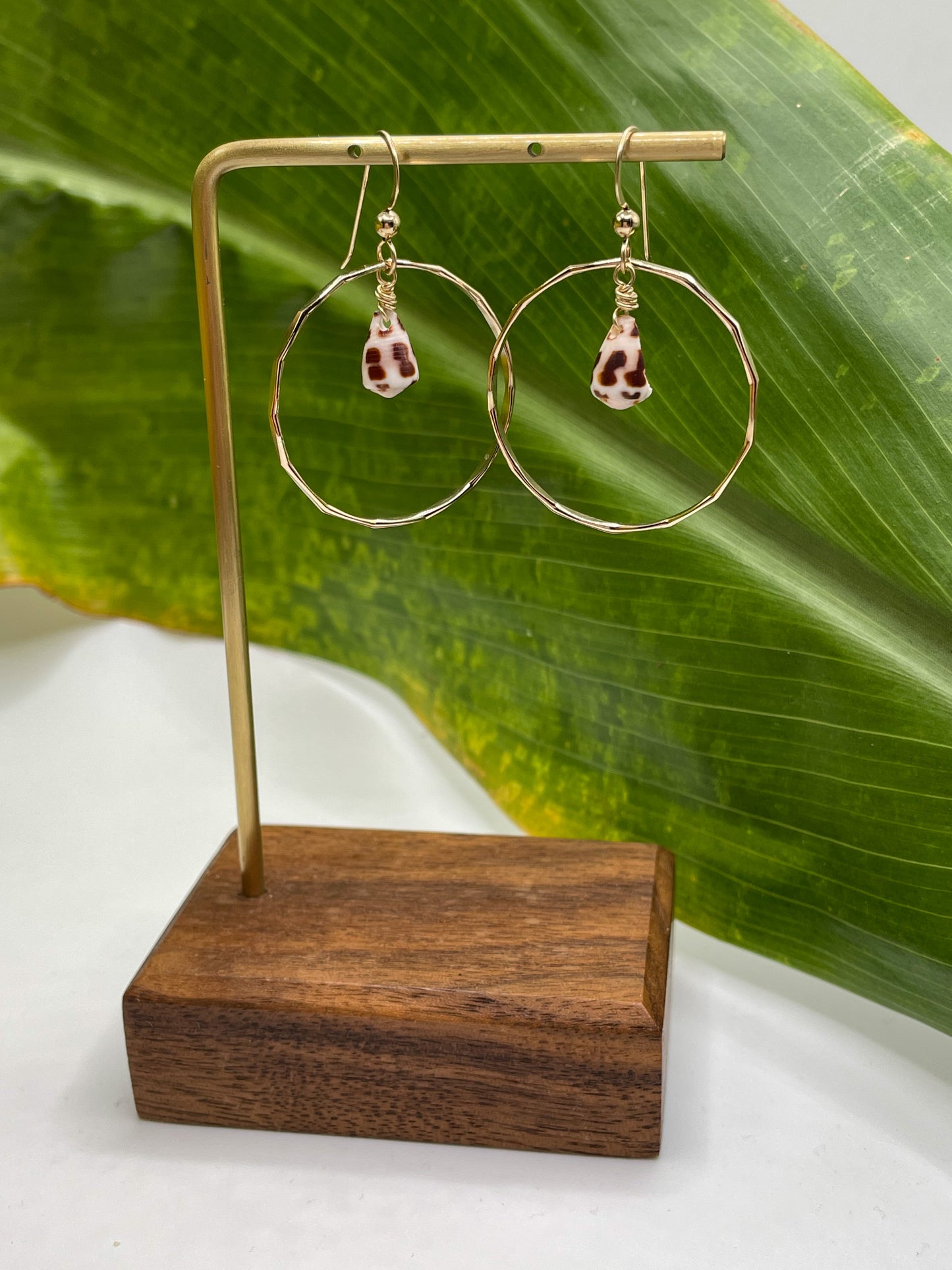 Small Hebrew Shell in Hoops