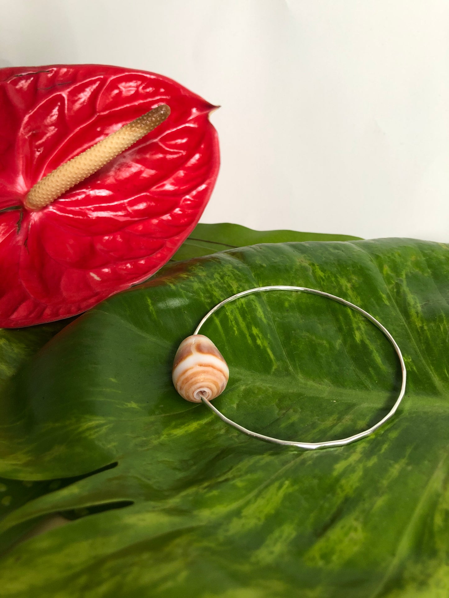 7.5" Hawaiian Cone Shell Bangle Sterling Silver