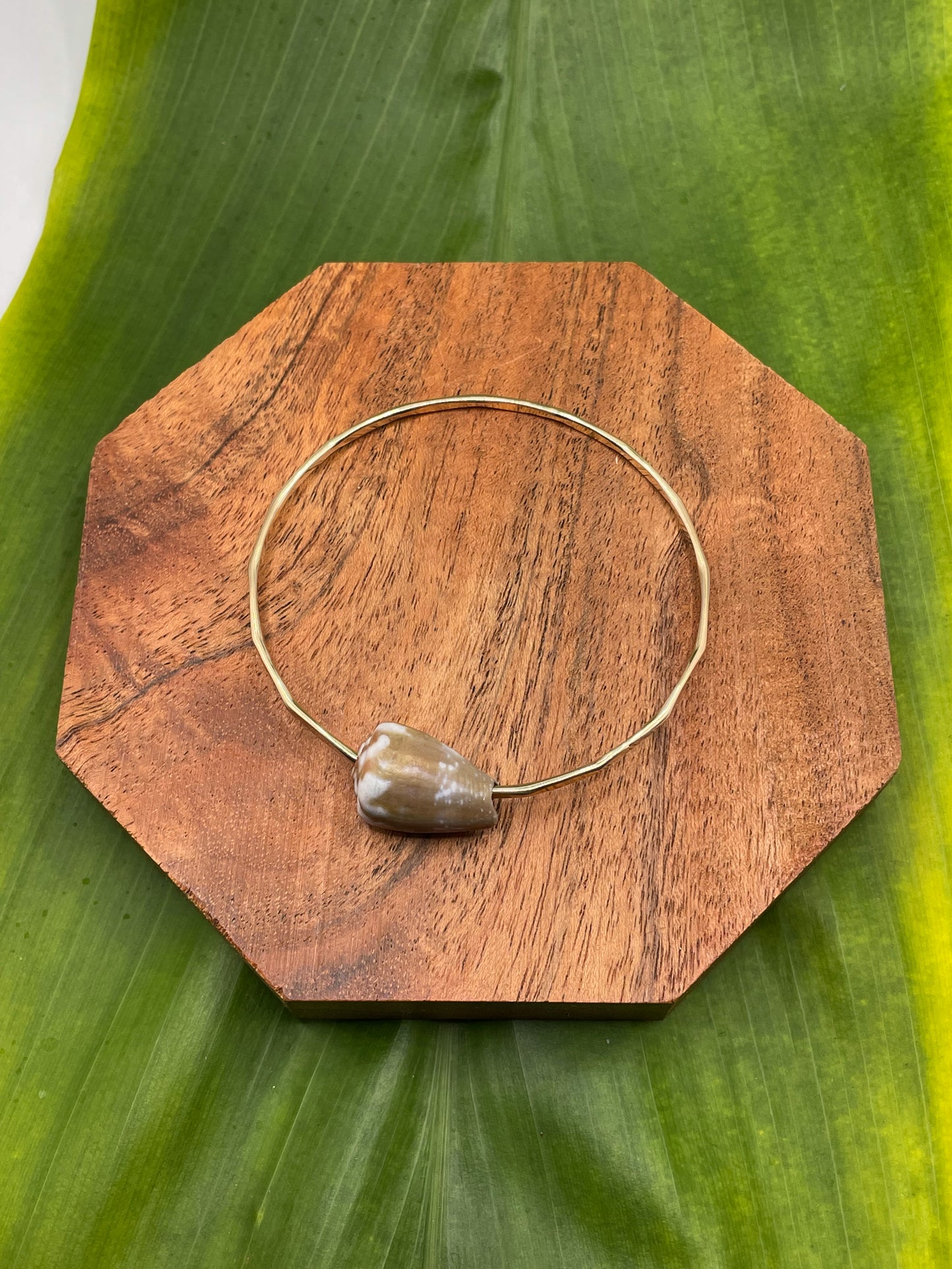 7" Rat Cone Shell Bangle Gold Filled
