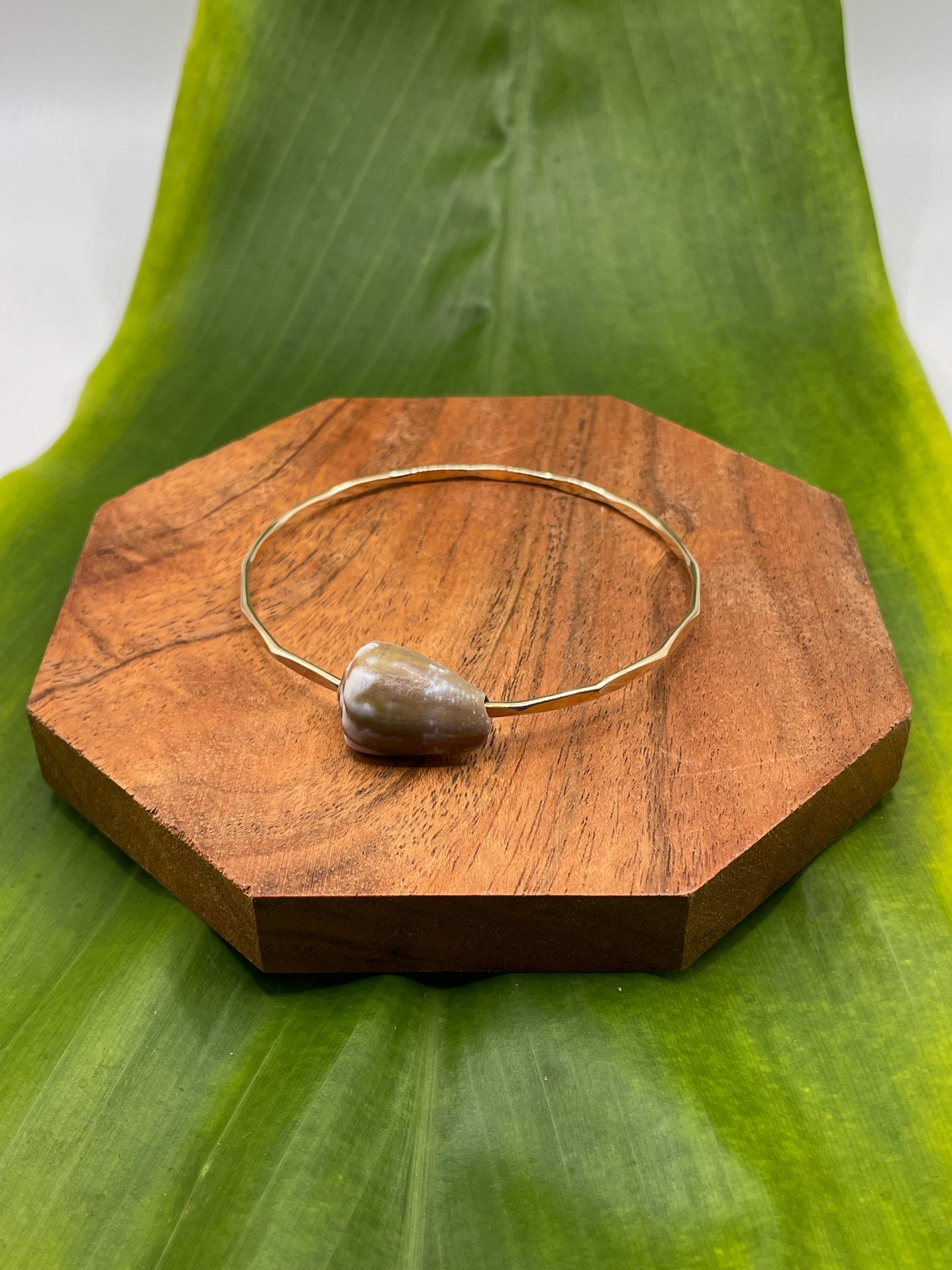 7" Rat Cone Shell Bangle Gold Filled