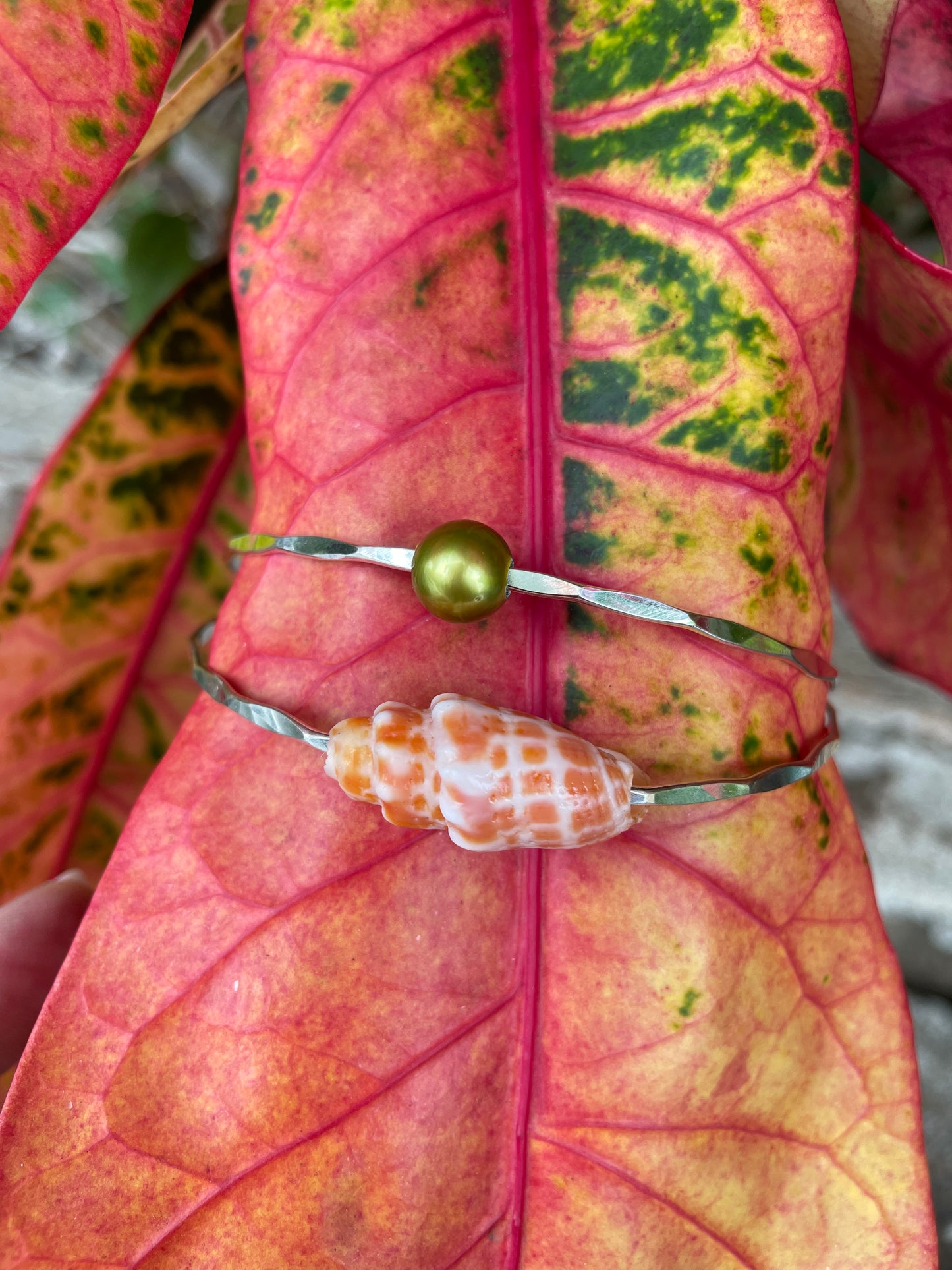 Miter Shell Bangle Gold Filled
