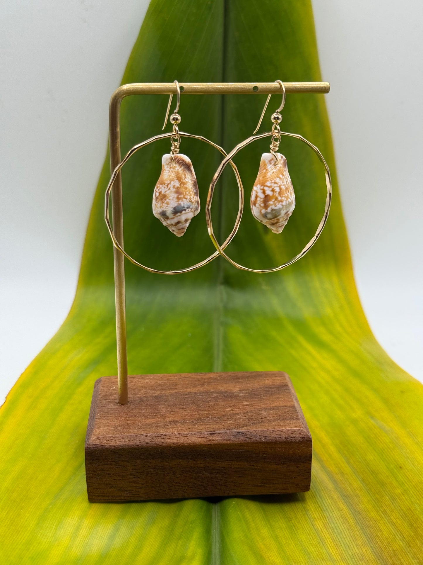 Cone Shell in Hoops Medium