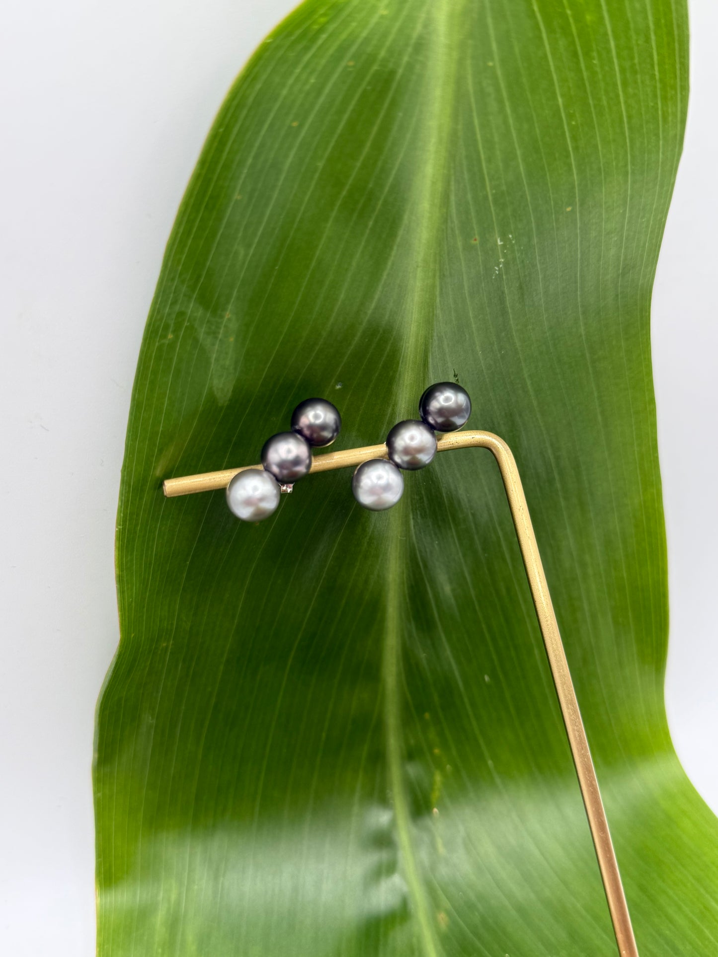 Triple Tahitian Pearl Studs