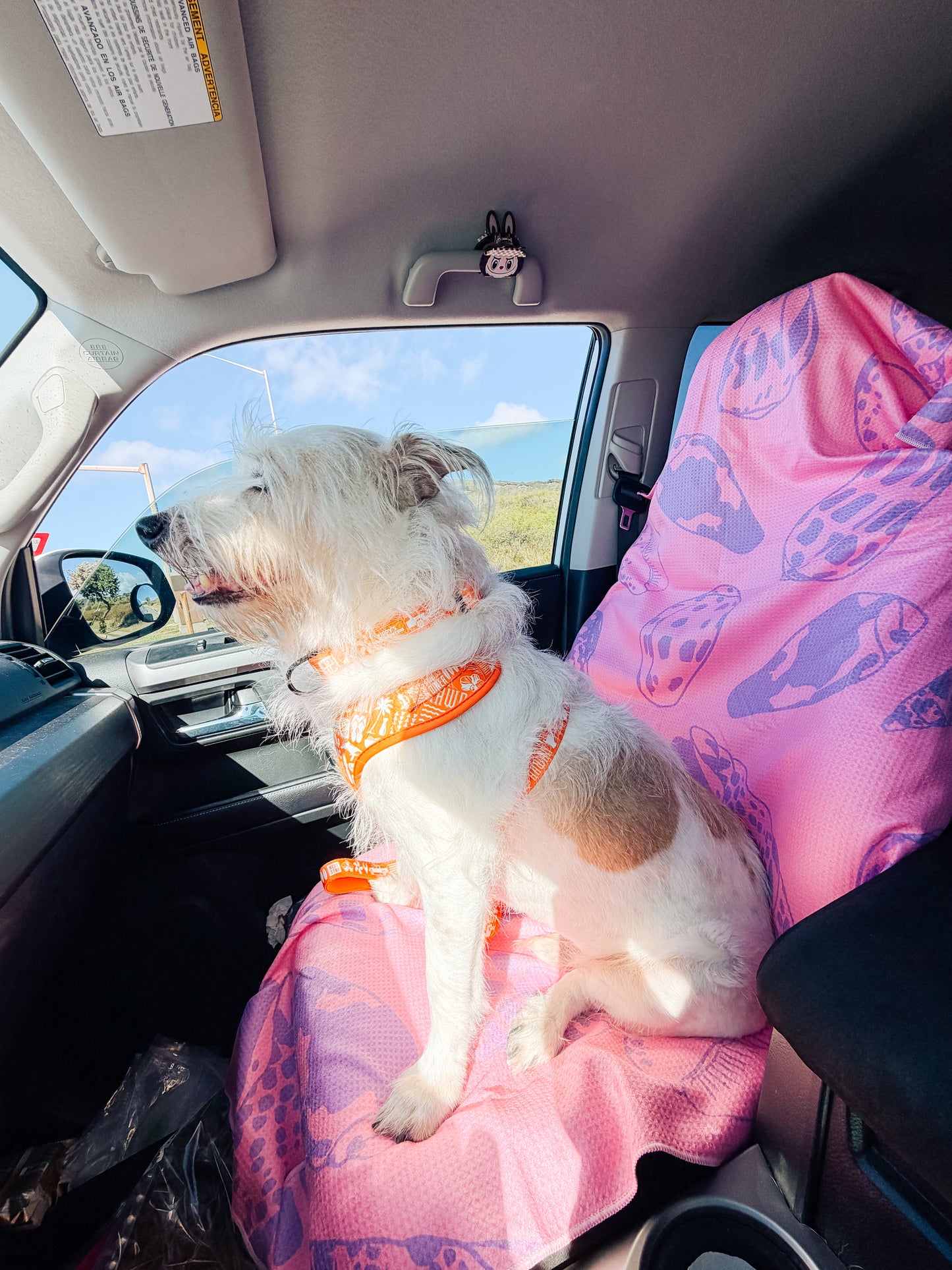 Car Towels