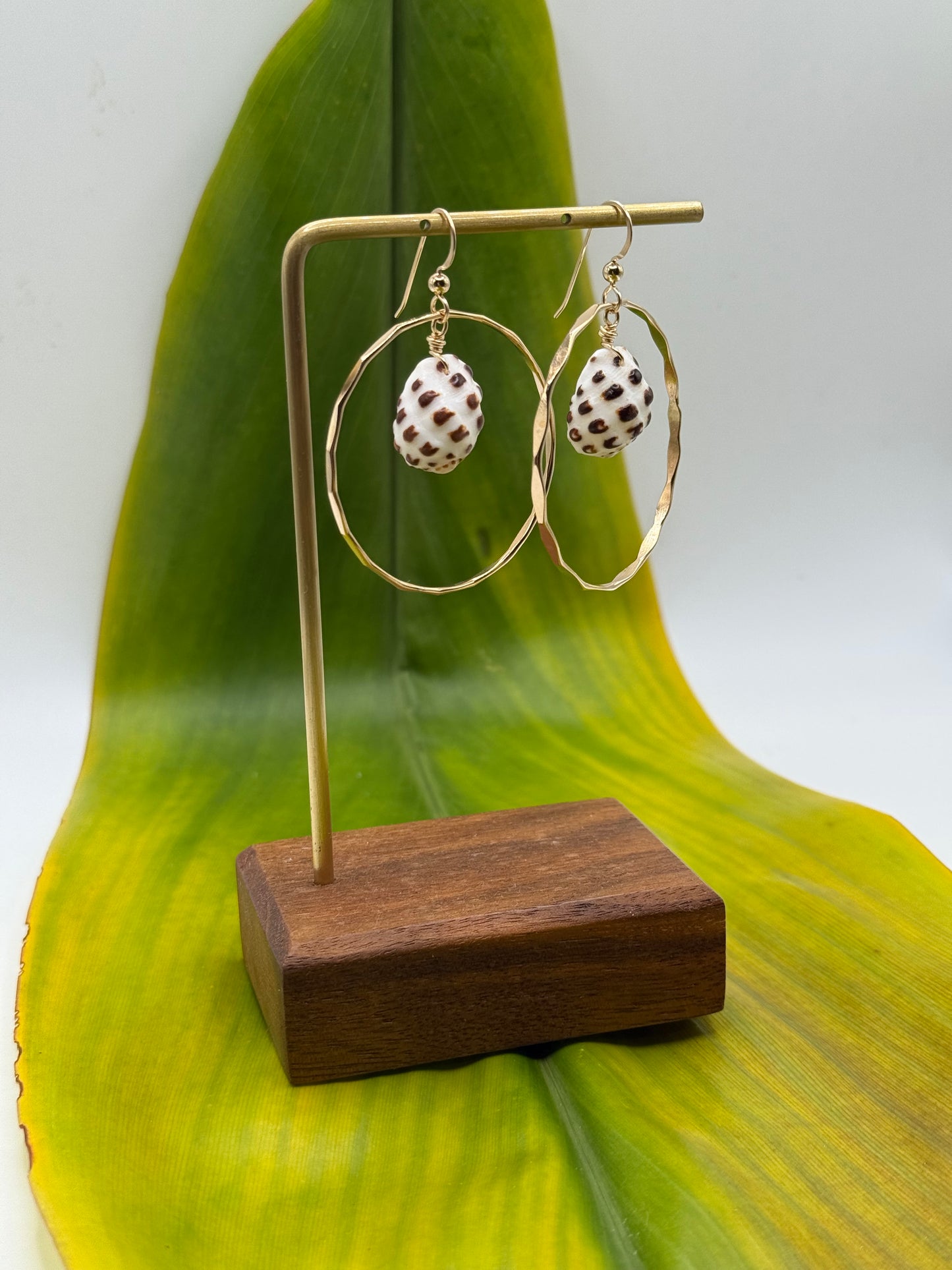 Cone Shell in Hoops Medium