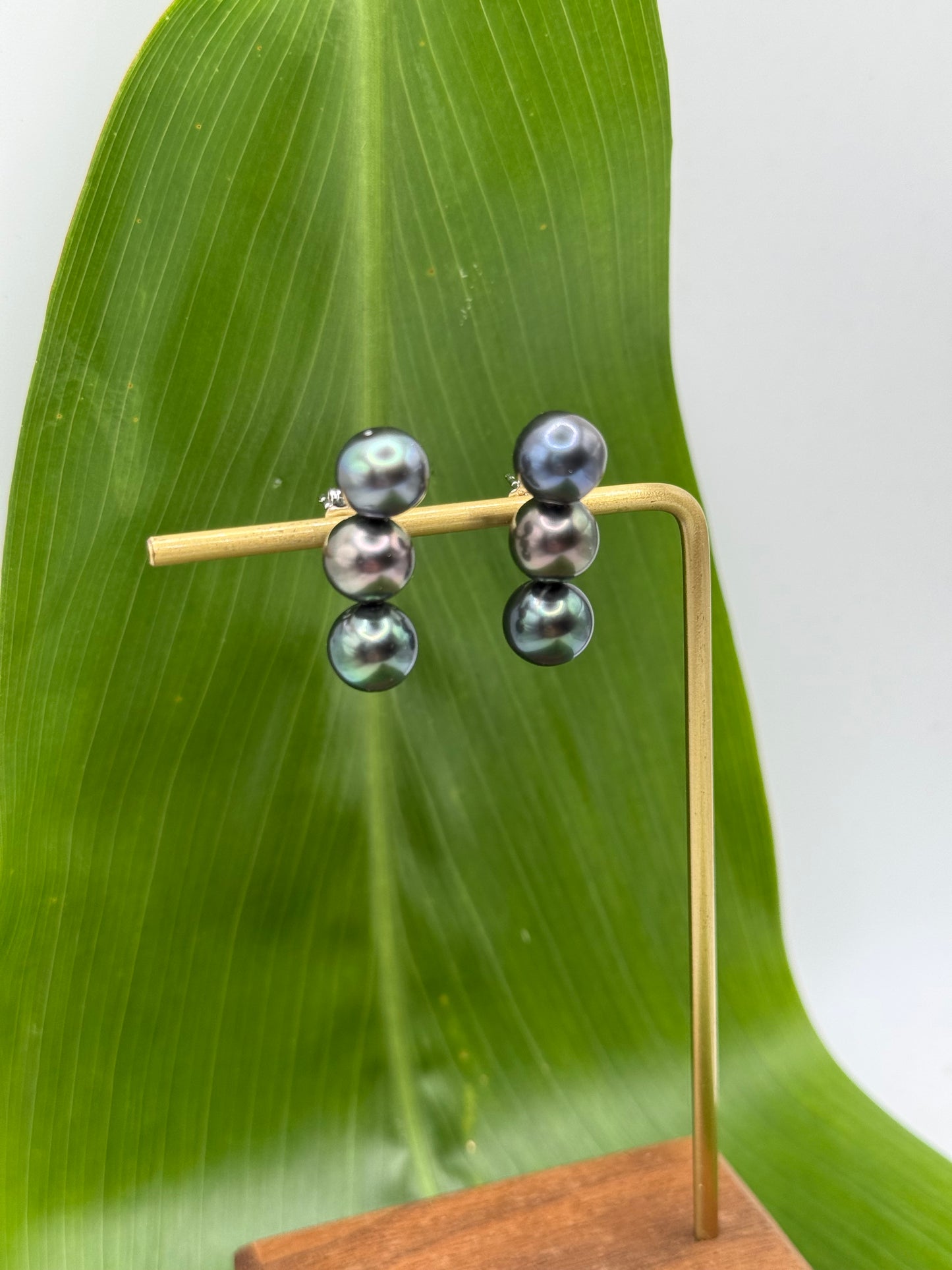 Triple Tahitian Pearl Studs